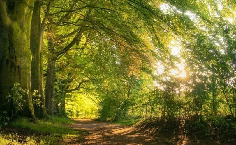 Navigating a busy world … &amp; your much needed sleep