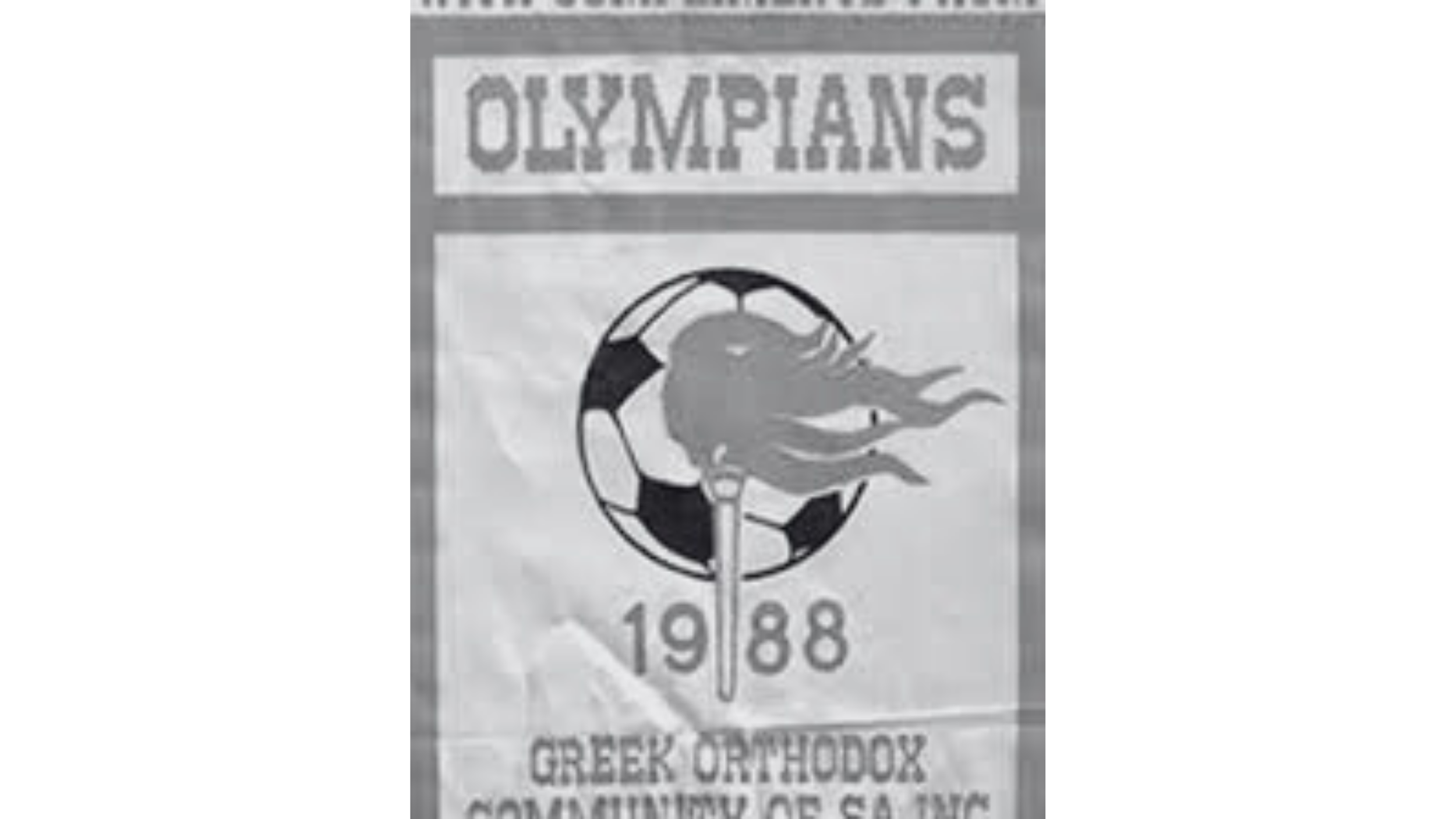Untitled design (1).png