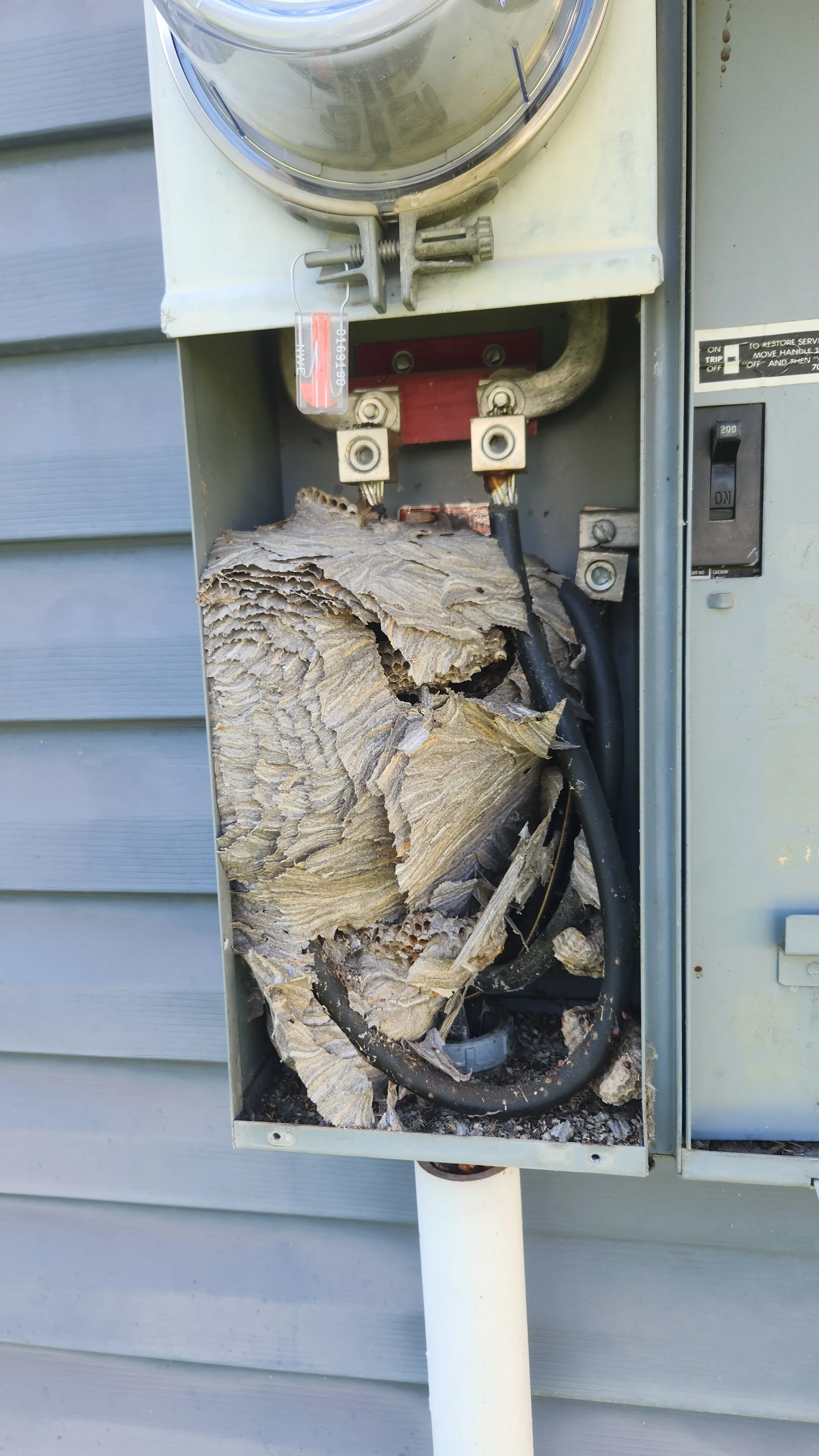 An outdoor electrical box with a burned and damaged wiring and insulation, with the cover removed.