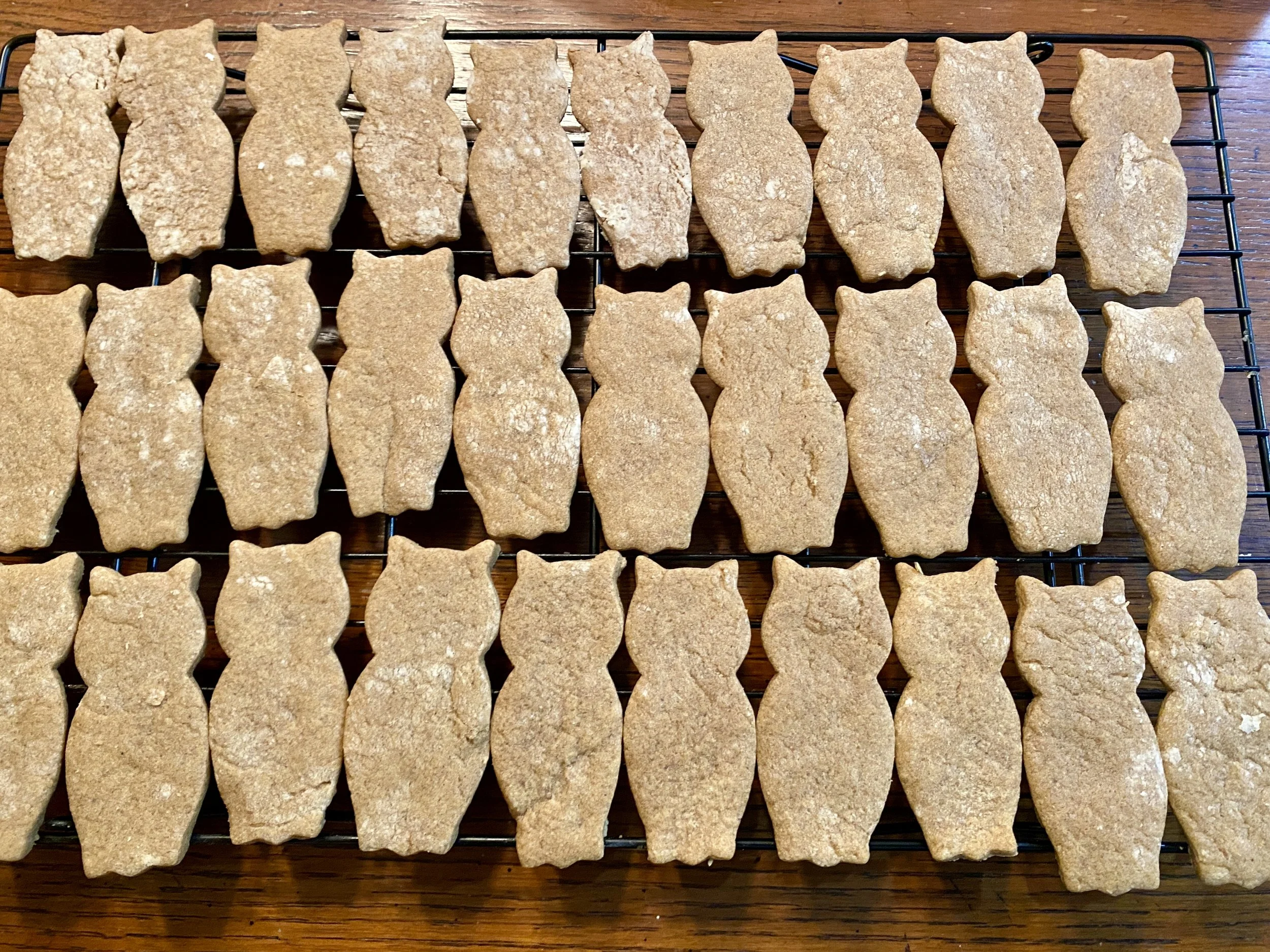 Owl-shaped Butterscotch Cut-Out Cookies made by Wisconsin Cottage Bakery Twelve Moons Baking