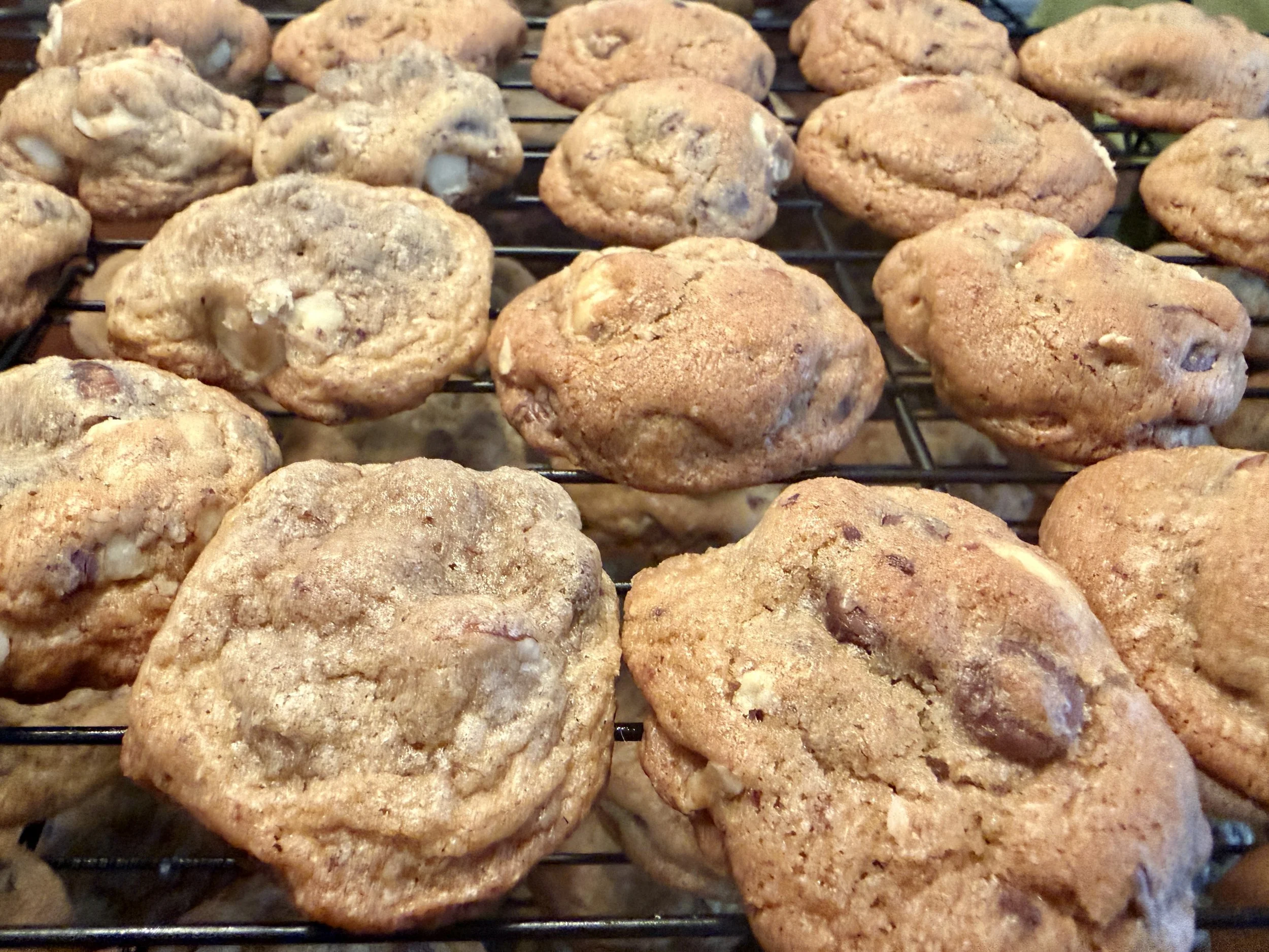 Chocolate Chip Hazelnut cookies made by Wisconsin Cottage Bakery Twelve Moons Baking
