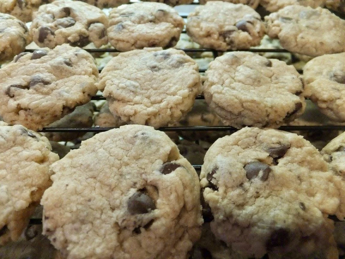 Special Order: Batch of Dark Chocolate Chip Shortbread