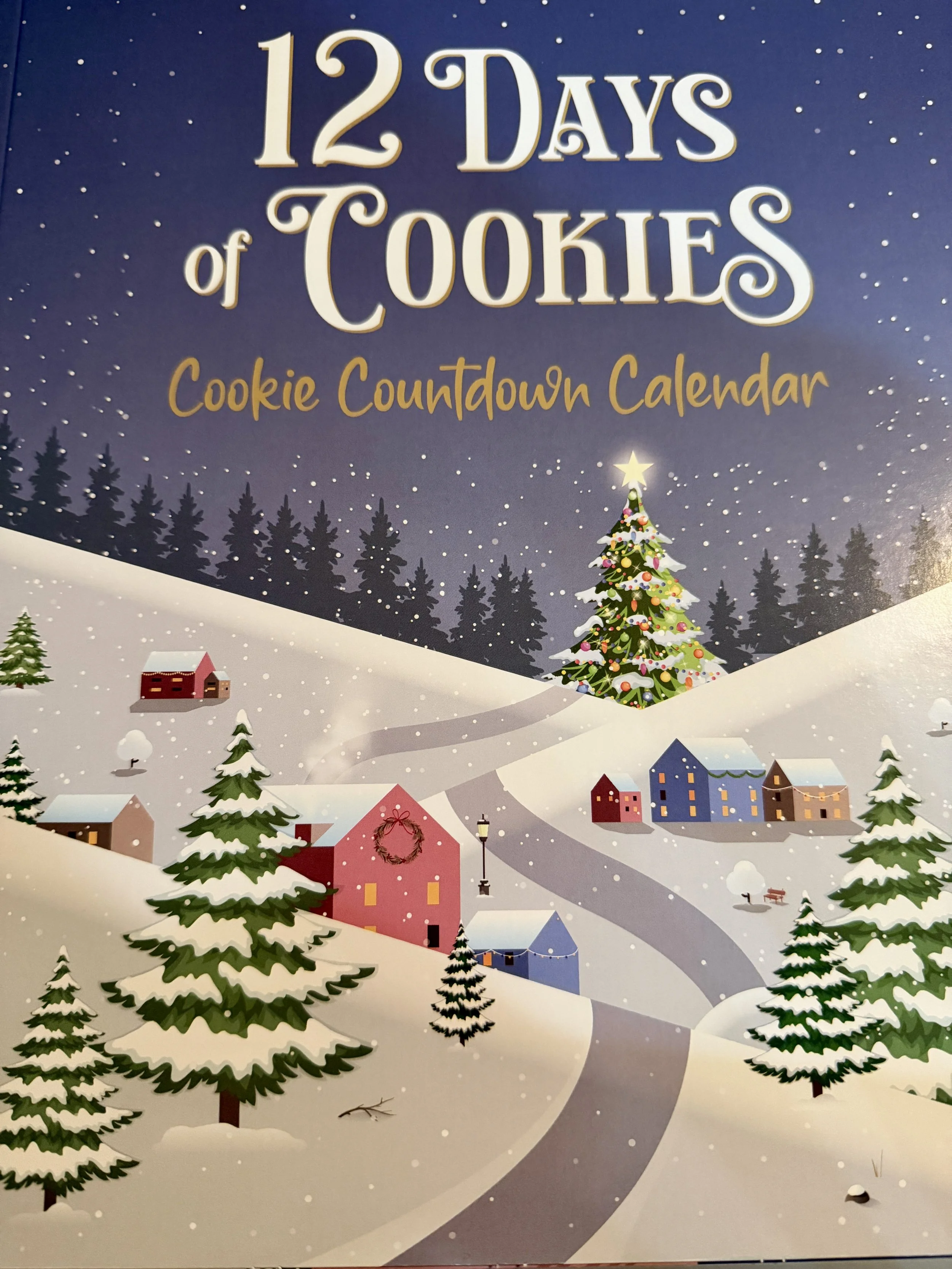Pre-Order: 12 Days of Cookies Christmas Advent Calendar - Winter Scene