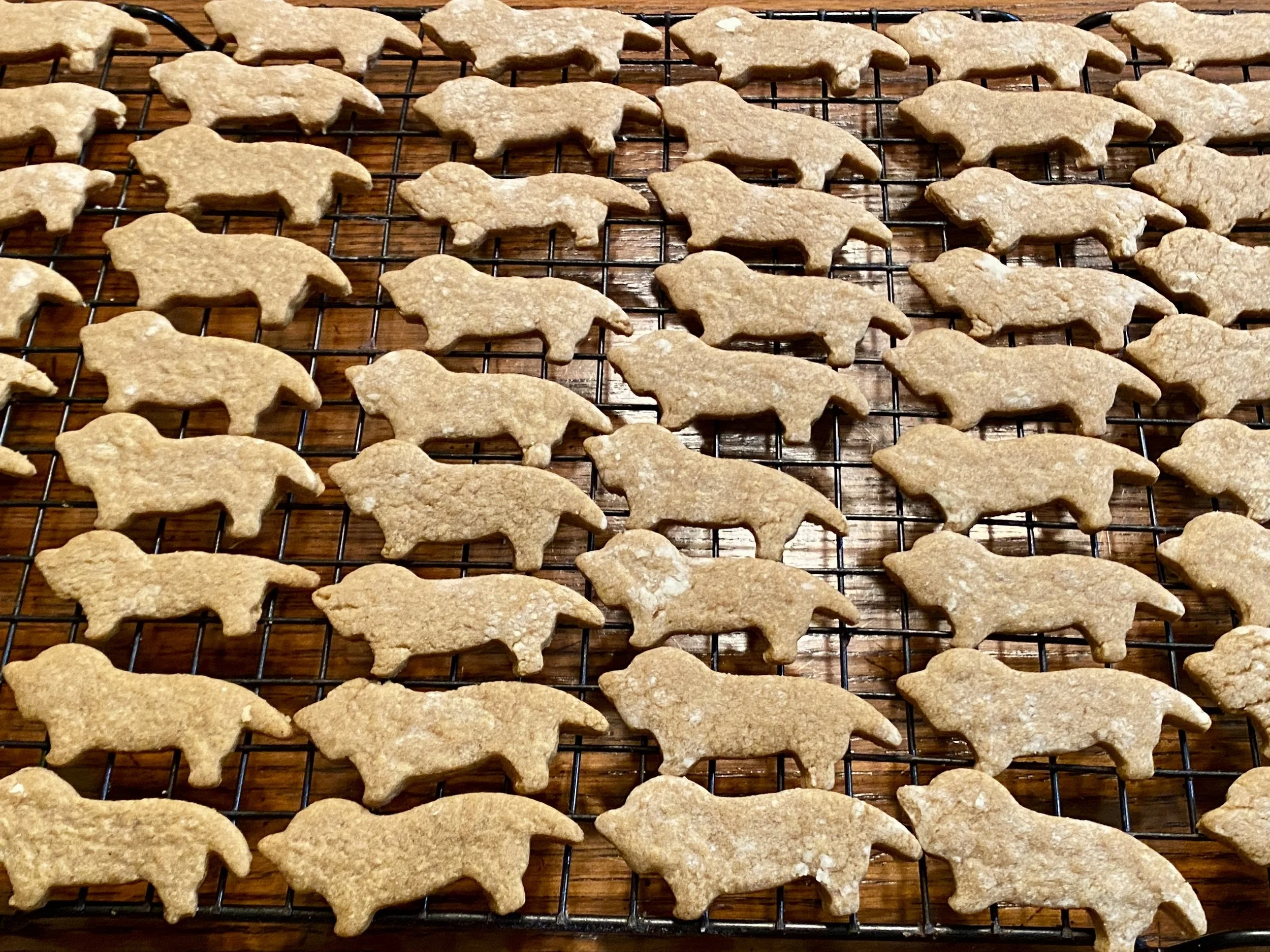 Miniature Dachshund-shaped Butterscotch Gingerbread Cookies made by Wisconsin Cottage Bakery Twelve Moons Baking.