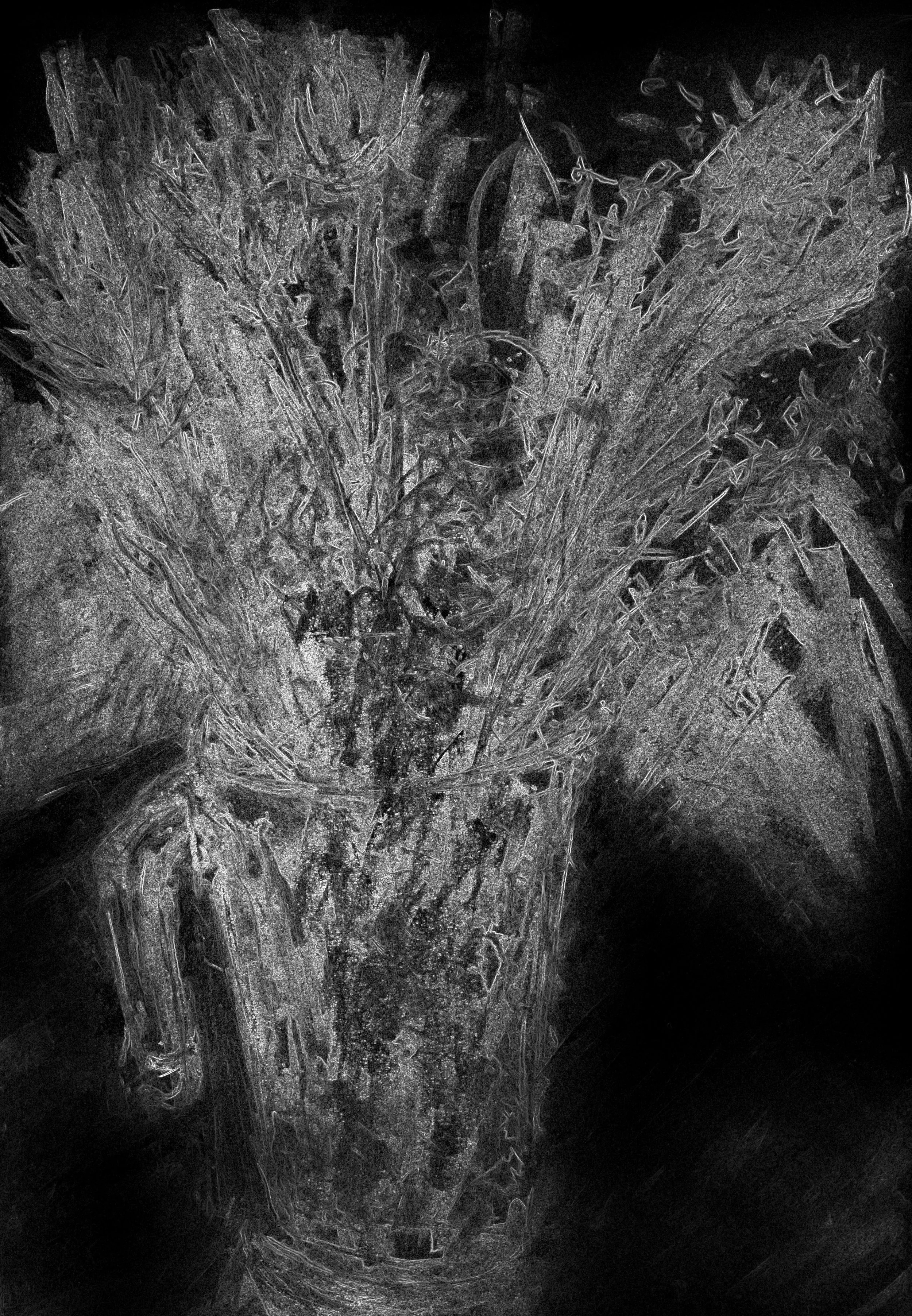 Ghost Flowers, giclee print on paper, 118 x 80 cm, 2024.