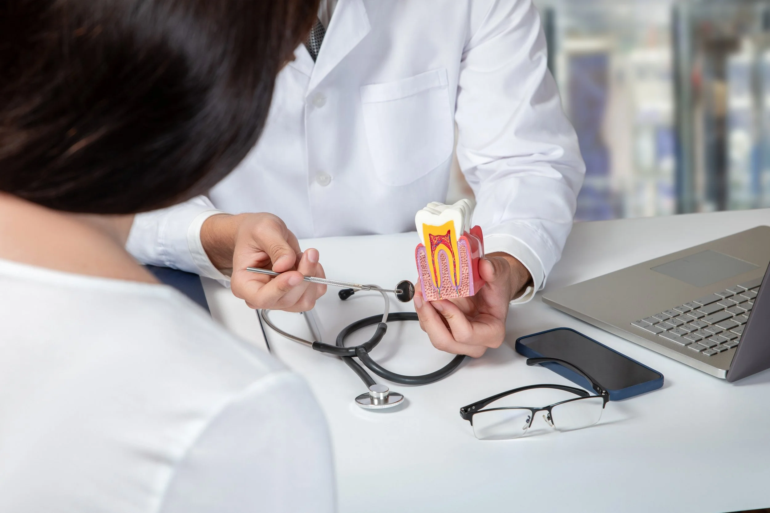 Dentist showing a cross-section of a tooth model to a patient in a dental office.