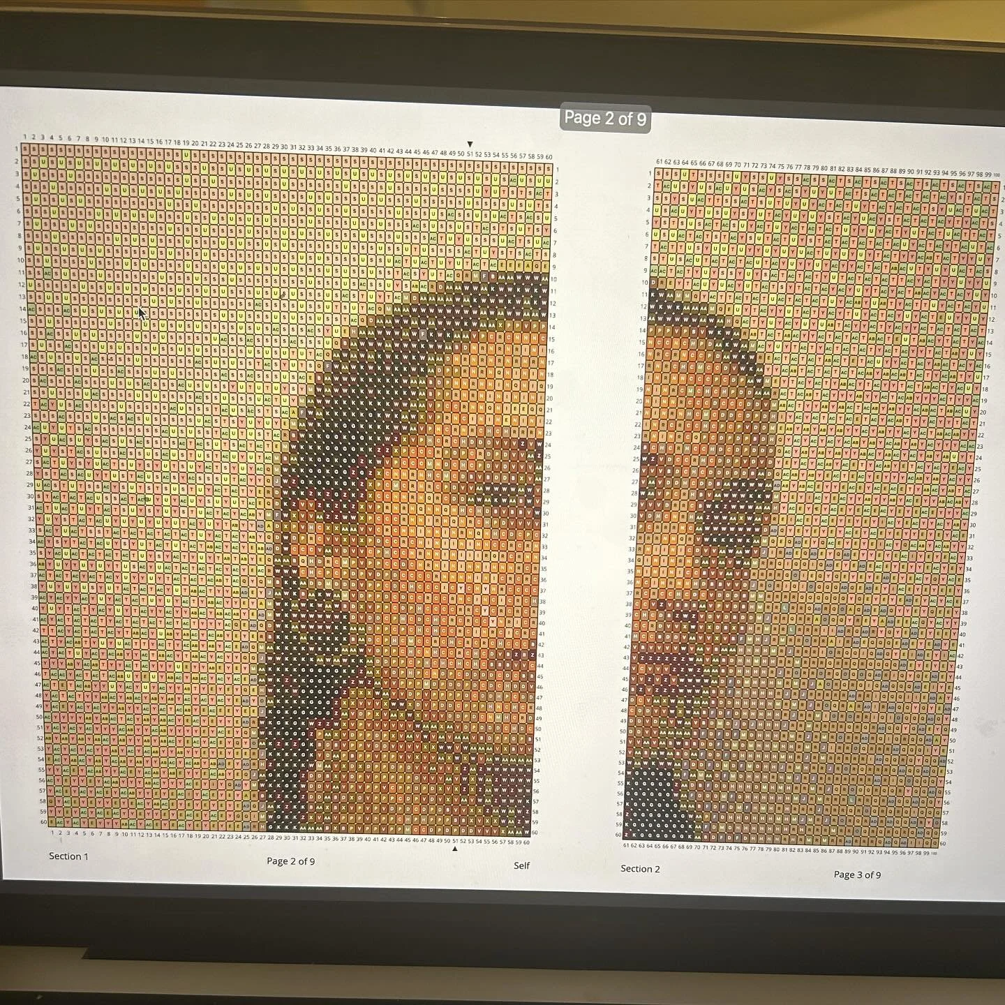 #new #yay #beads #selfportrait #braids #hair I neeed to start this asap im excited 💎💎💎💎💎💎💎💎