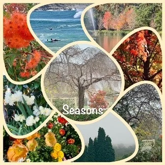 seasons picture.jpeg