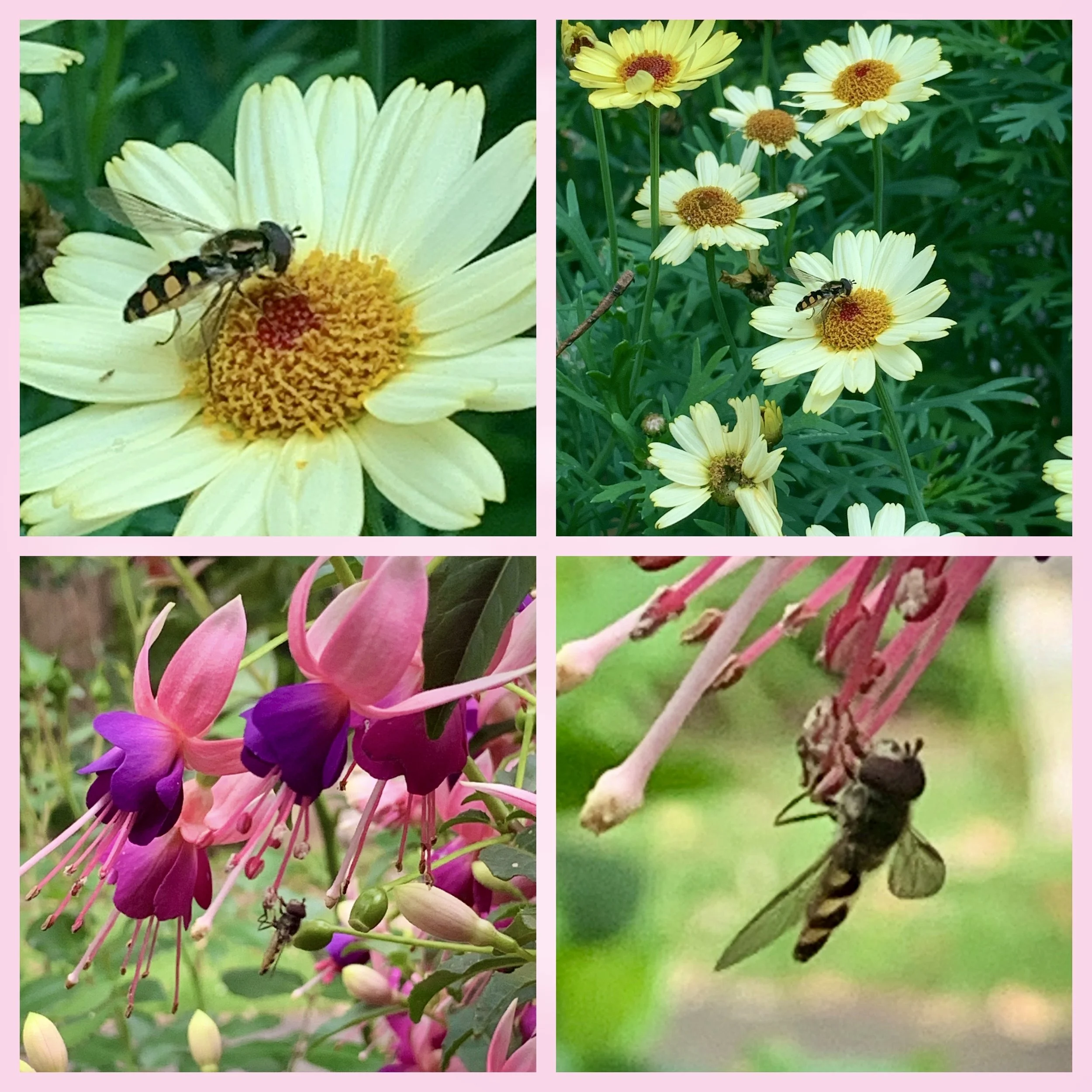 spring blog1.jpeg