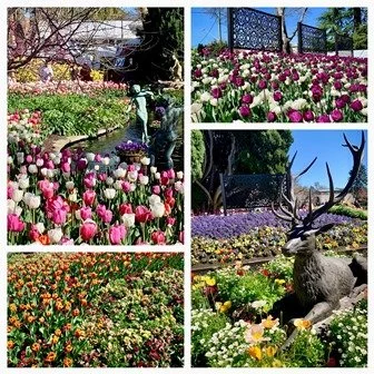 Spring Reflections: New Beginnings, Garden Inspiration & Creative ...