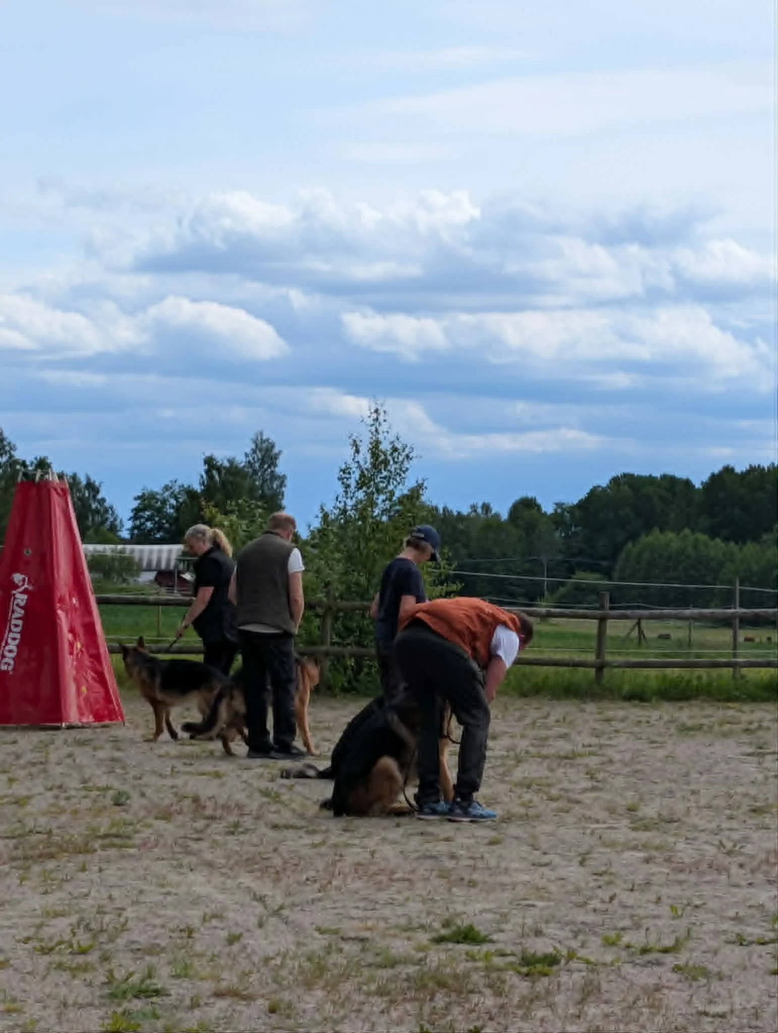 hund i grupp.jpg