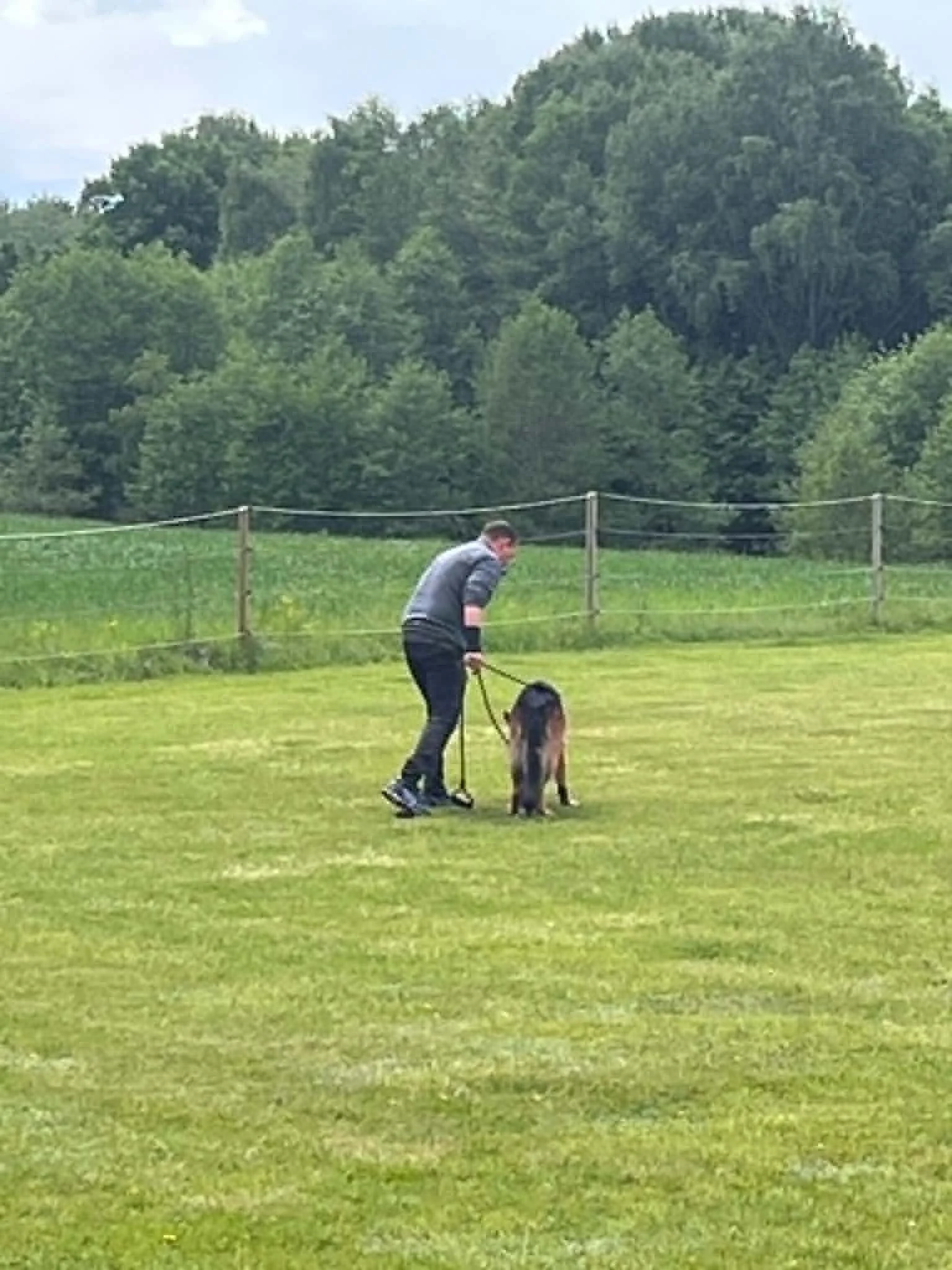 schäfer och husse spårar.jpg