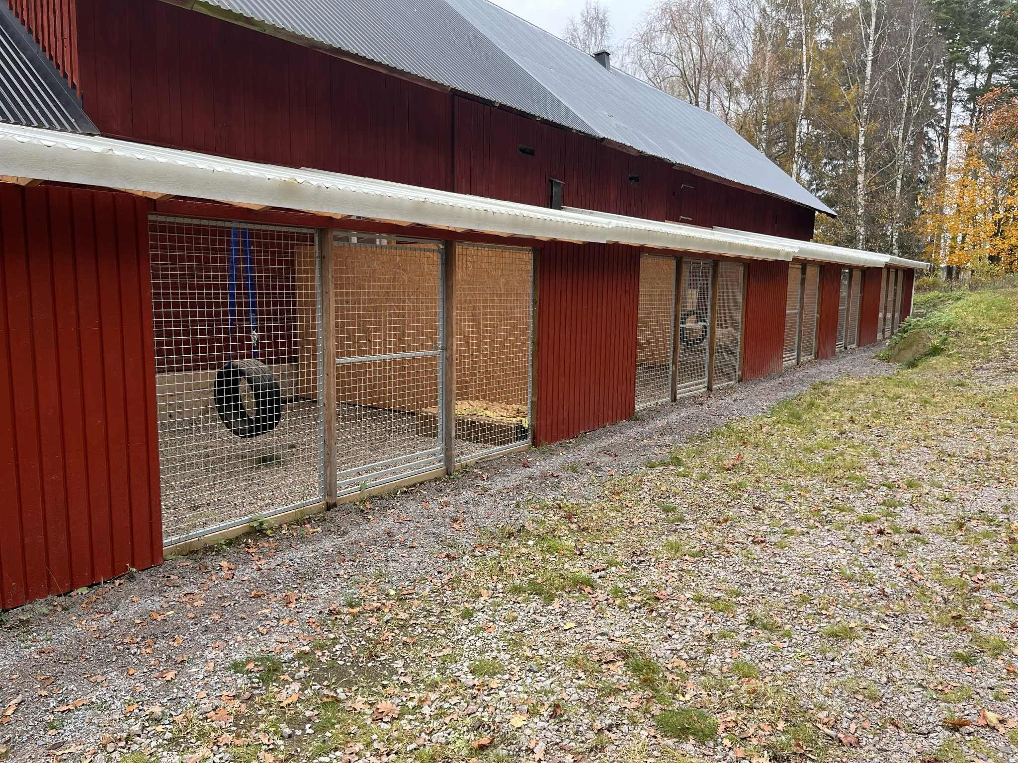 Nu är hundpensionatet öppet!
