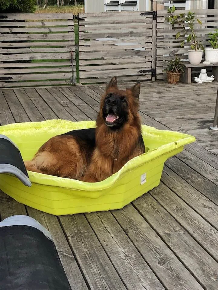 Planera sommarsemester