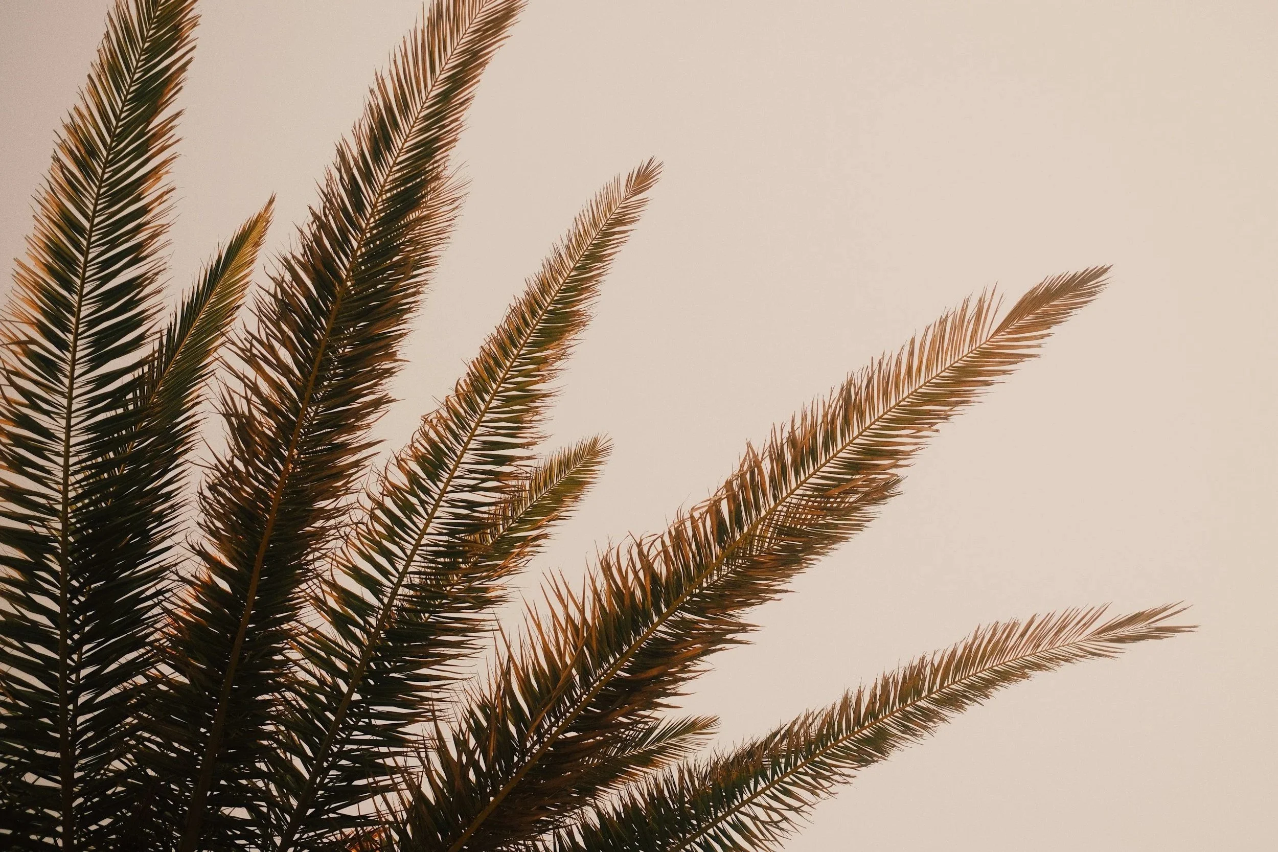 Worship Wednesday: Held in Grace, Not Shame