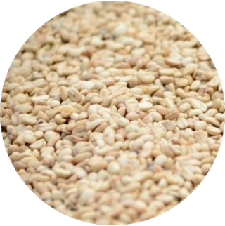 100% Domestic Sesame