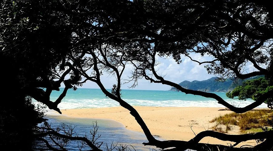 The coastal commute: why living on the Matakana Coast and working in Auckland actually makes sense