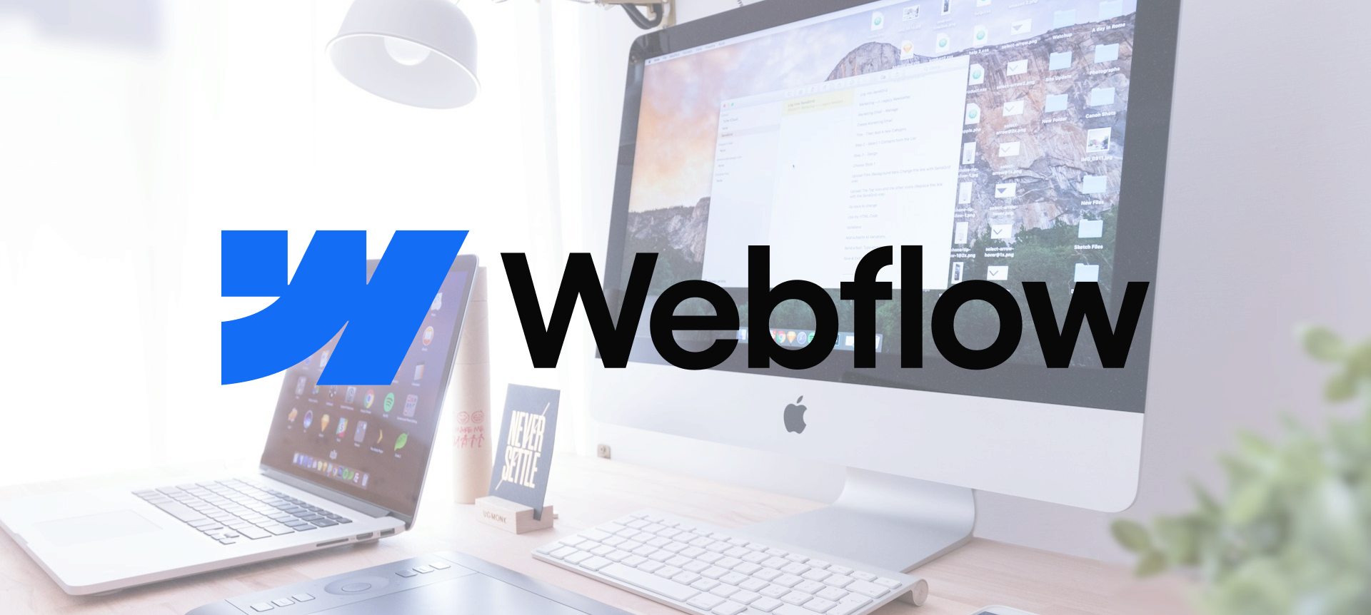 Webflow Overhauls Pre-Tax Administration by Switching From a Legacy Vendor to a Modern Solution