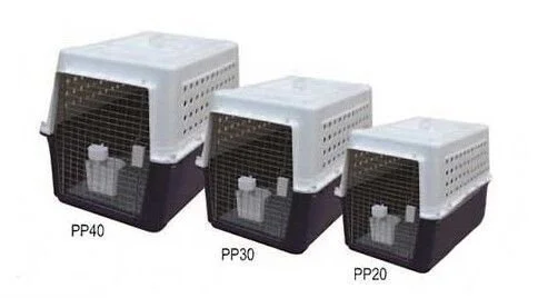  PP20 Airline Carrier $99.95