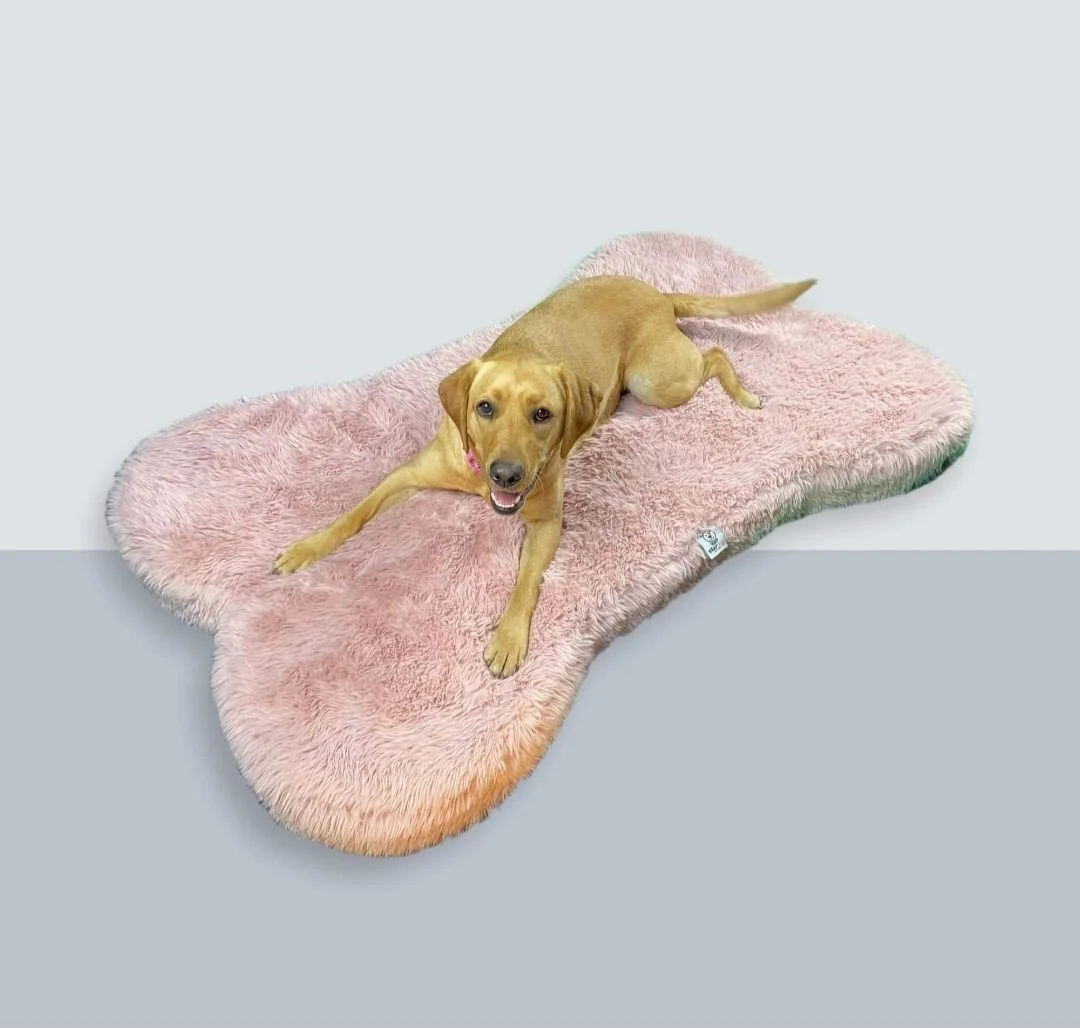  Bone Shape Memory Beds Pink or Grey $110