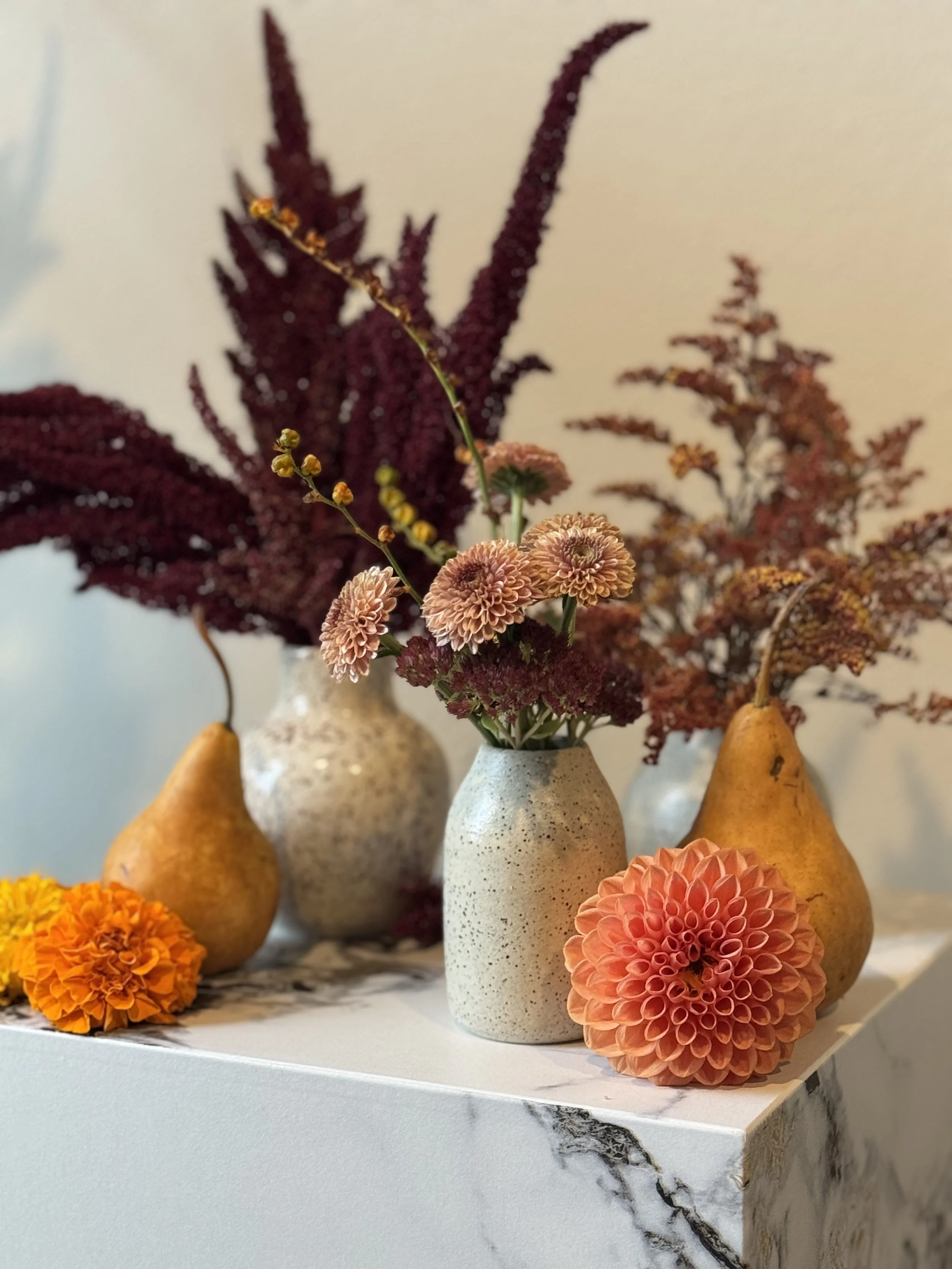 Vase with pink and brown chrysanthemum flowers, two yellow pears, and orange dahlias on a white marble surface. The arrangement is fall themed and incorporates fruit and seasonal elements. Dark maroon red amaranth is in the back bud vase.