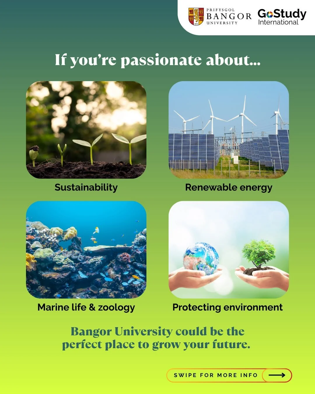 If you&rsquo;re into 🌱 sustainability, ⚡renewable energy, 🦭 marine life or 🌍 protecting the planet, this might be your sign.

At Bangor University, you don&rsquo;t just study the environment, you live in it. Mountains, forests and the sea are righ
