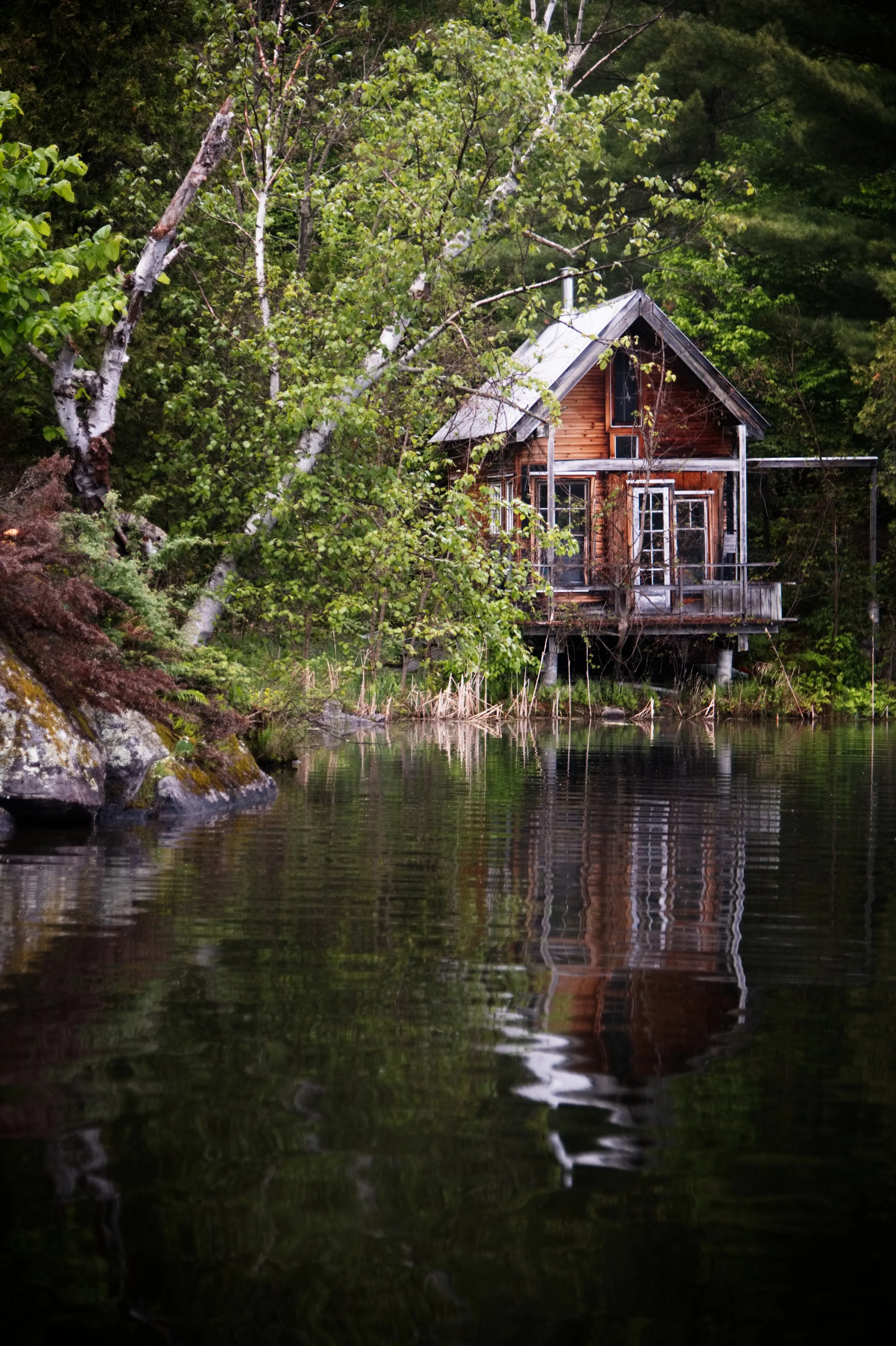 Cabin2020 website.jpg
