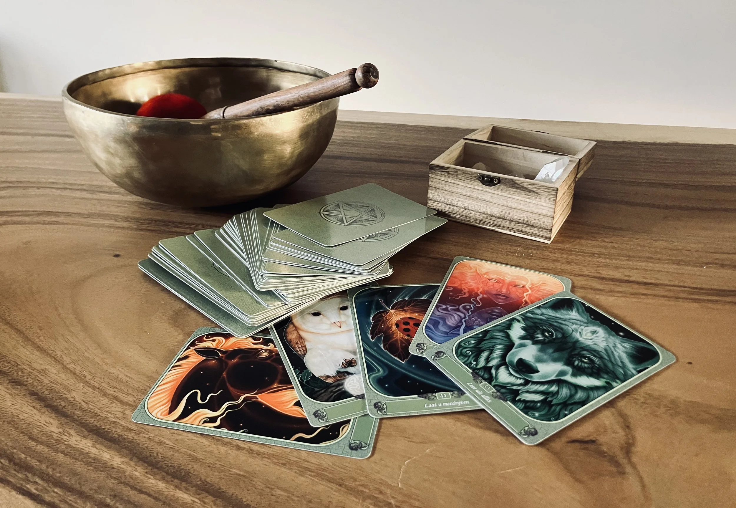 Holistisch consult, inzichtskaarten en een klankschaal als een mogelijk onderdeel van een consult