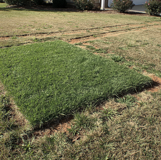 Signs of a Cracked Septic Tank: Leaking Out or In?