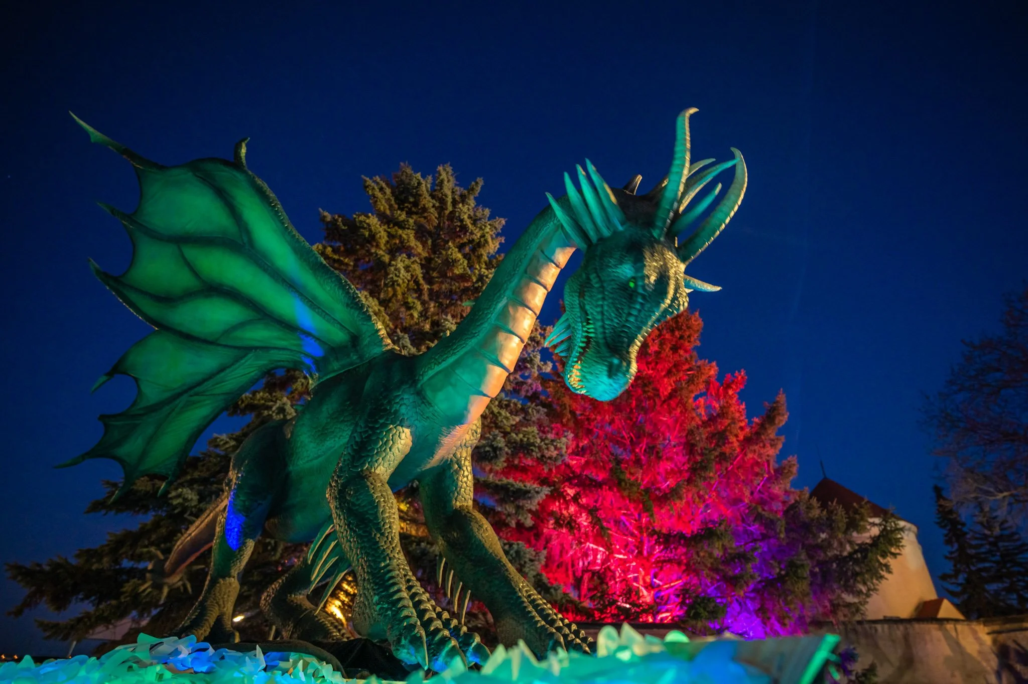 Game_of_Dragons_NJ_2024.12.25-51.jpg