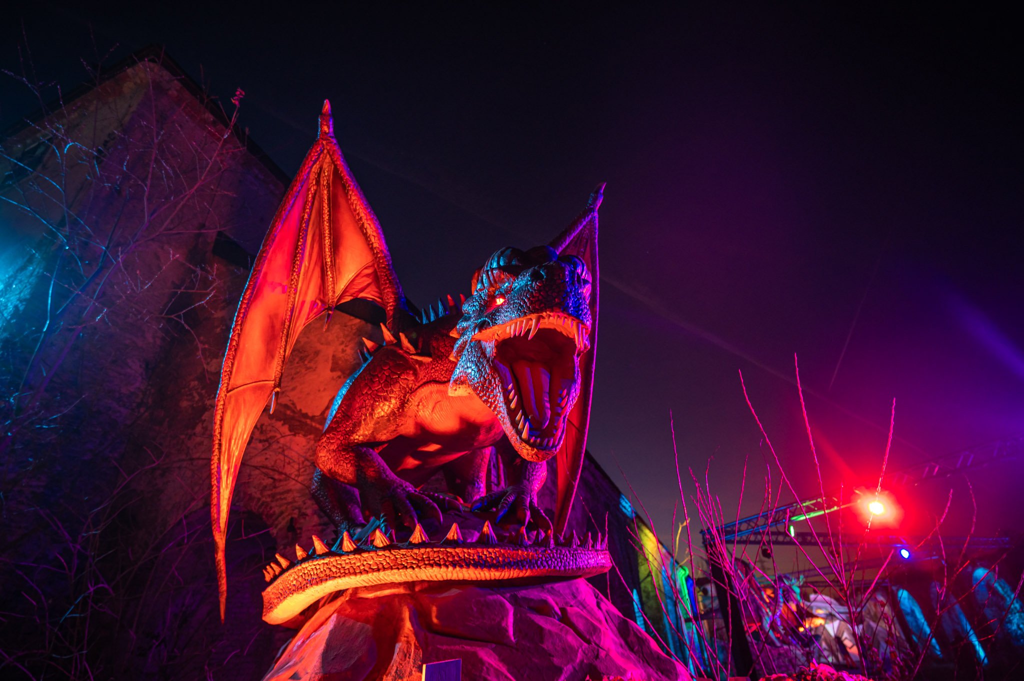 Game_of_Dragons_NJ_2024.12.25-57.jpg