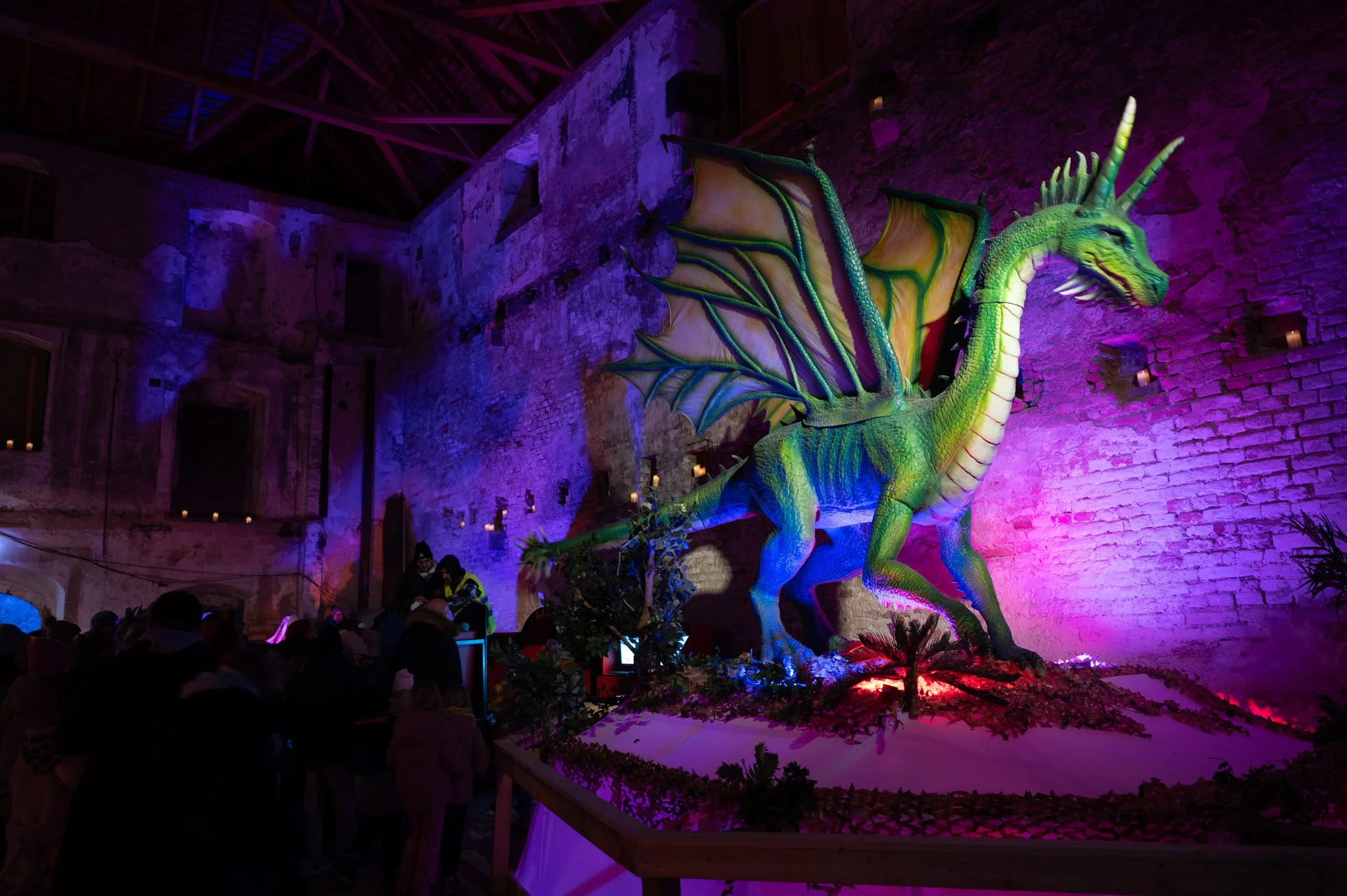 Game_of_Dragons_NJ_2024.12.25-93.jpg