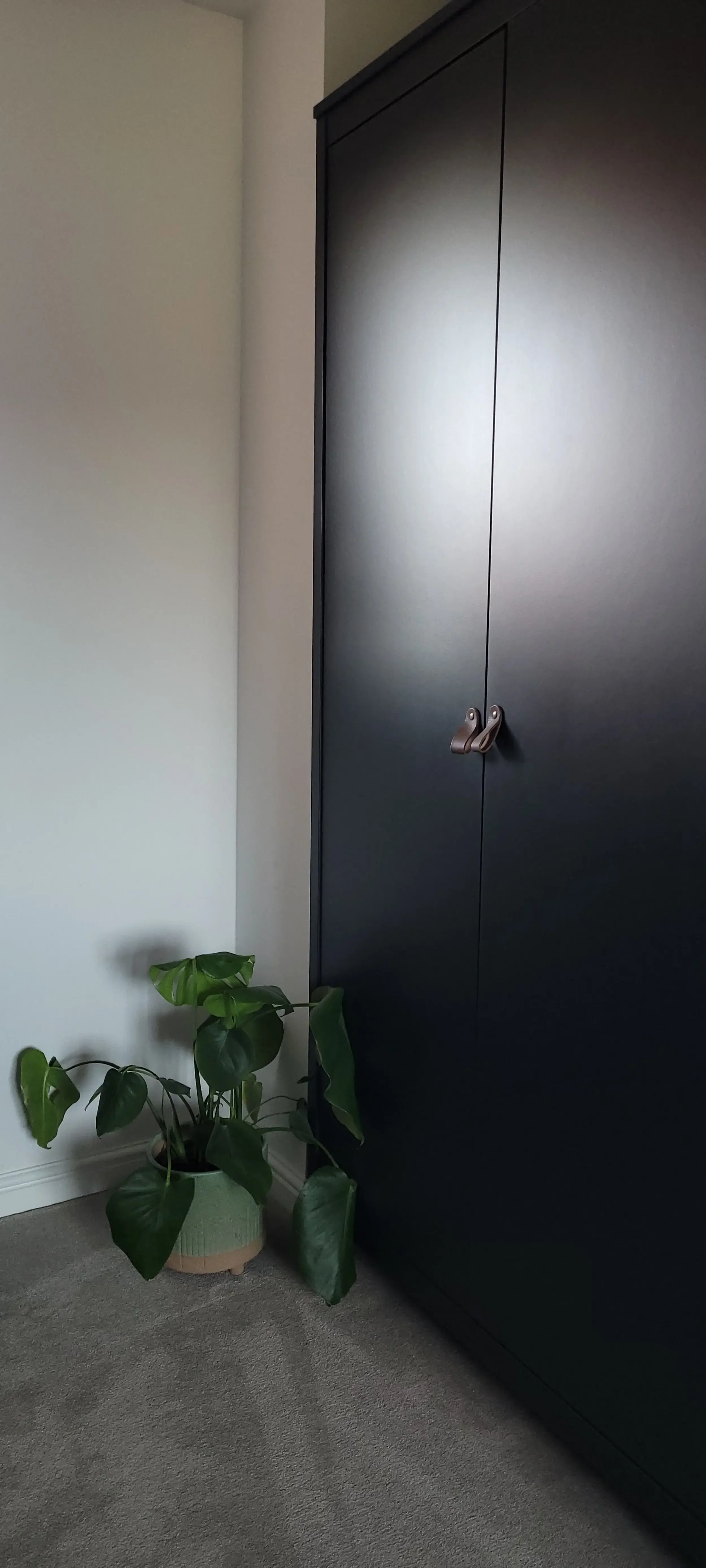 A tall black wardrobe with double doors and a small bronze handle, placed against a white wall, with a potted plant with large green leaves at its base on a beige carpeted floor.