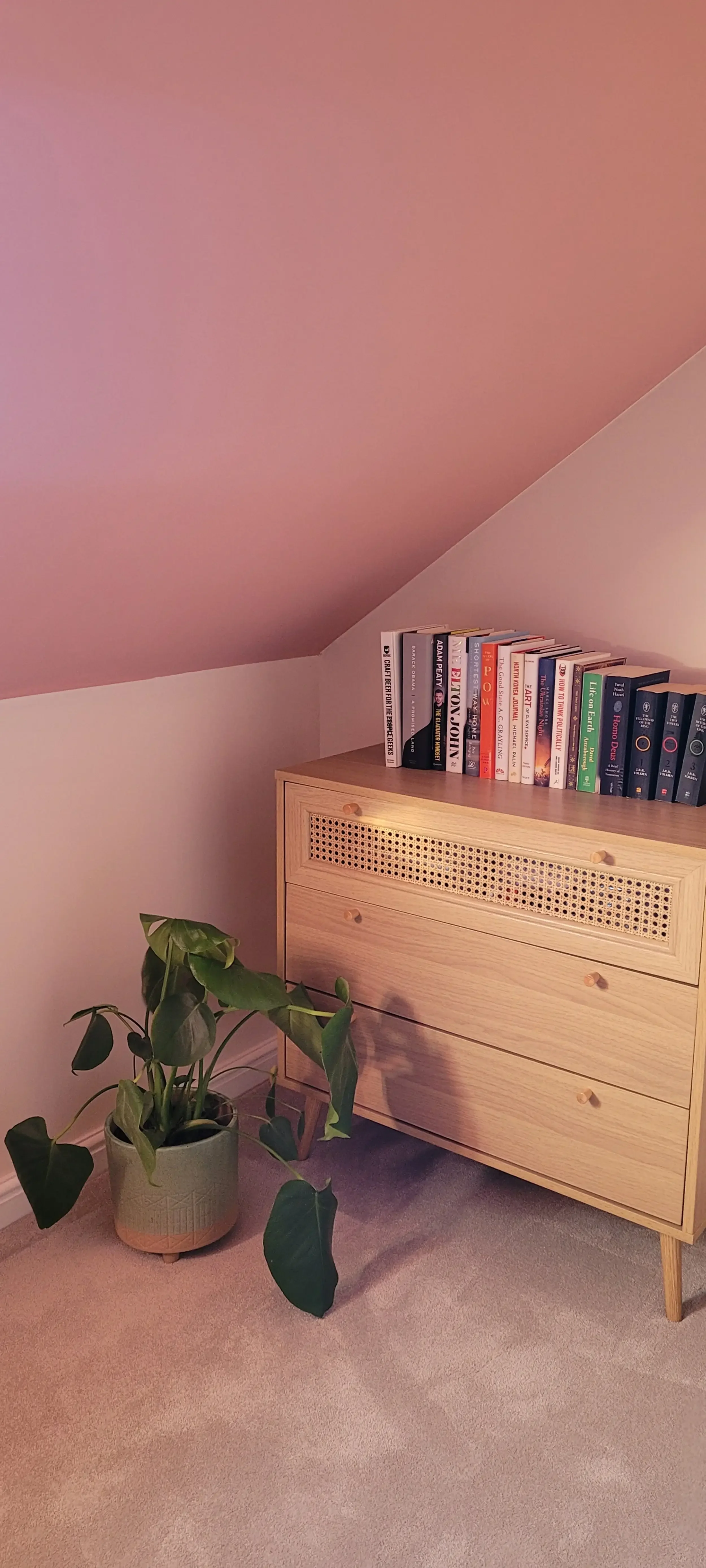 A wooden dresser with three drawers and a cane detail on the top drawer, situated in a room with carpeted flooring. On top of the dresser, there is a row of books, and next to it on the floor is a potted plant with large green leaves.