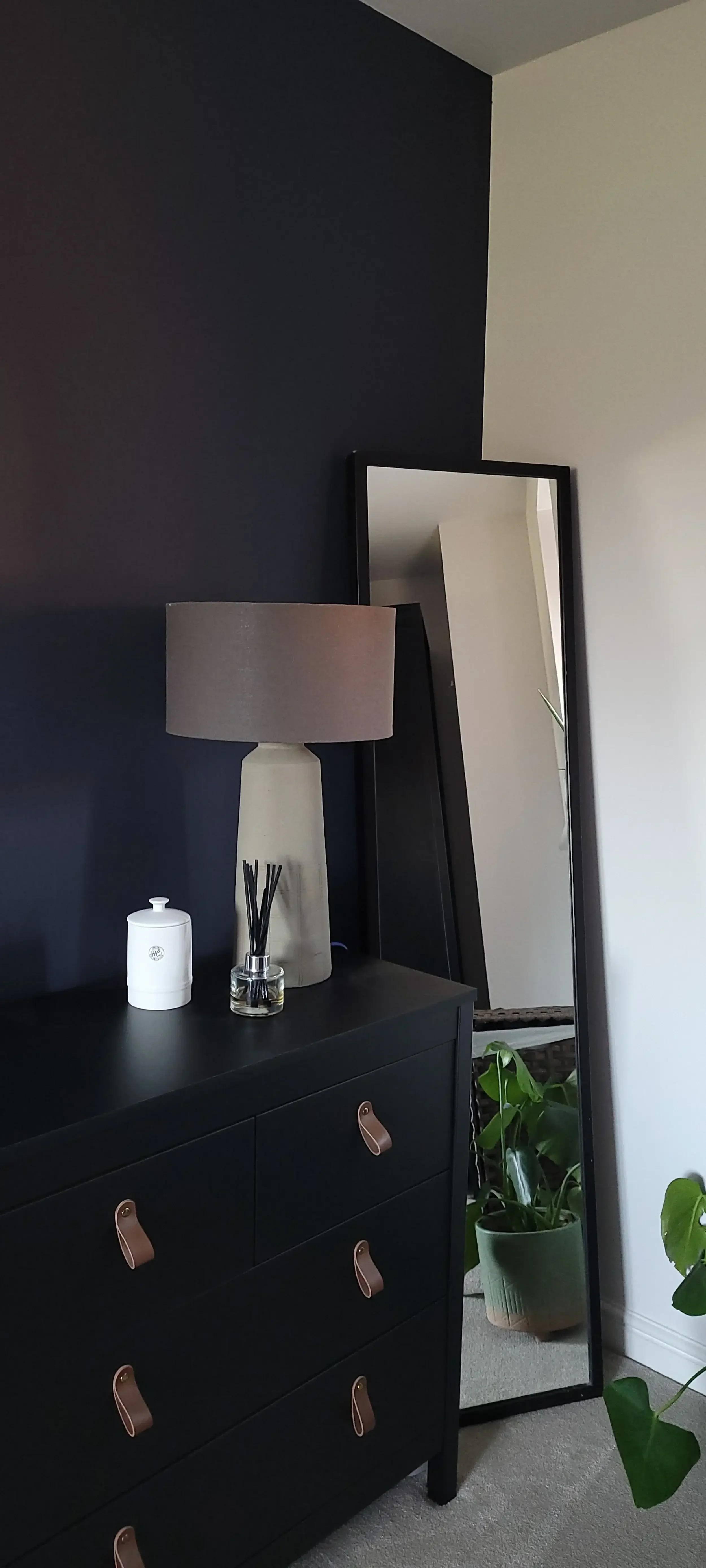 Black dresser with tan leather handles, topped with a beige lamp, a reed diffuser, and a white container, standing against a black and white wall, with a tall mirror reflecting part of the room and green potted plants nearby.