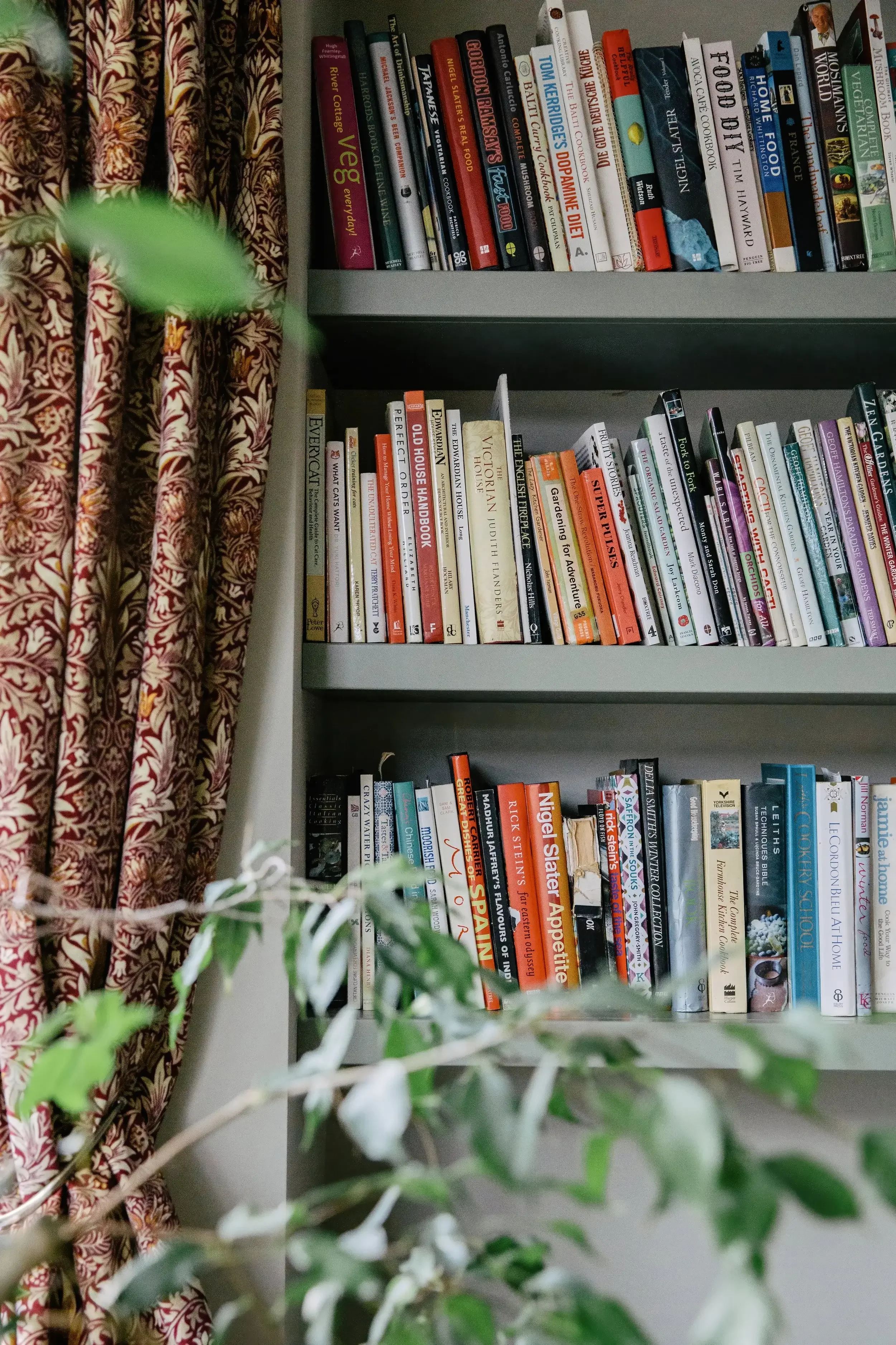 A bookshelf filled with various books, partially obscured by green leafy plants and a red-patterned curtain on the left.