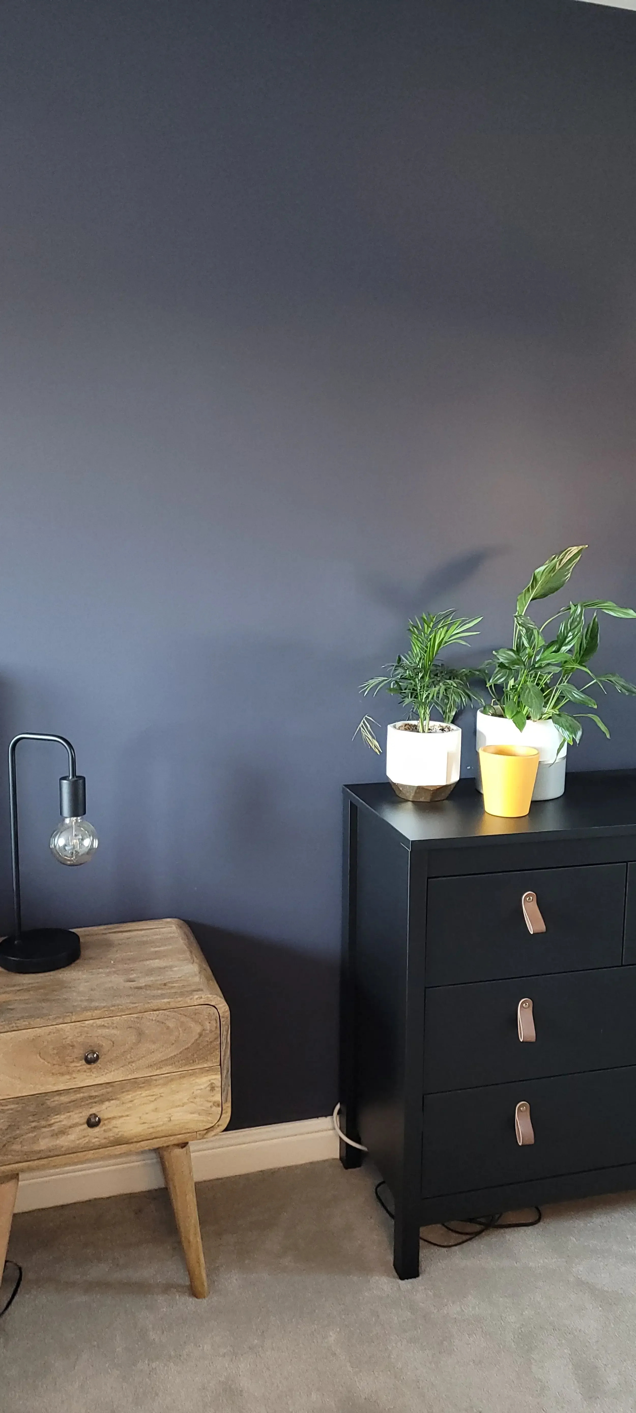 A room with a dark gray wall, a black dresser with three drawers, and two potted green plants on top. To the left, a wooden nightstand with a small drawer and a black desk lamp with a clear light bulb.