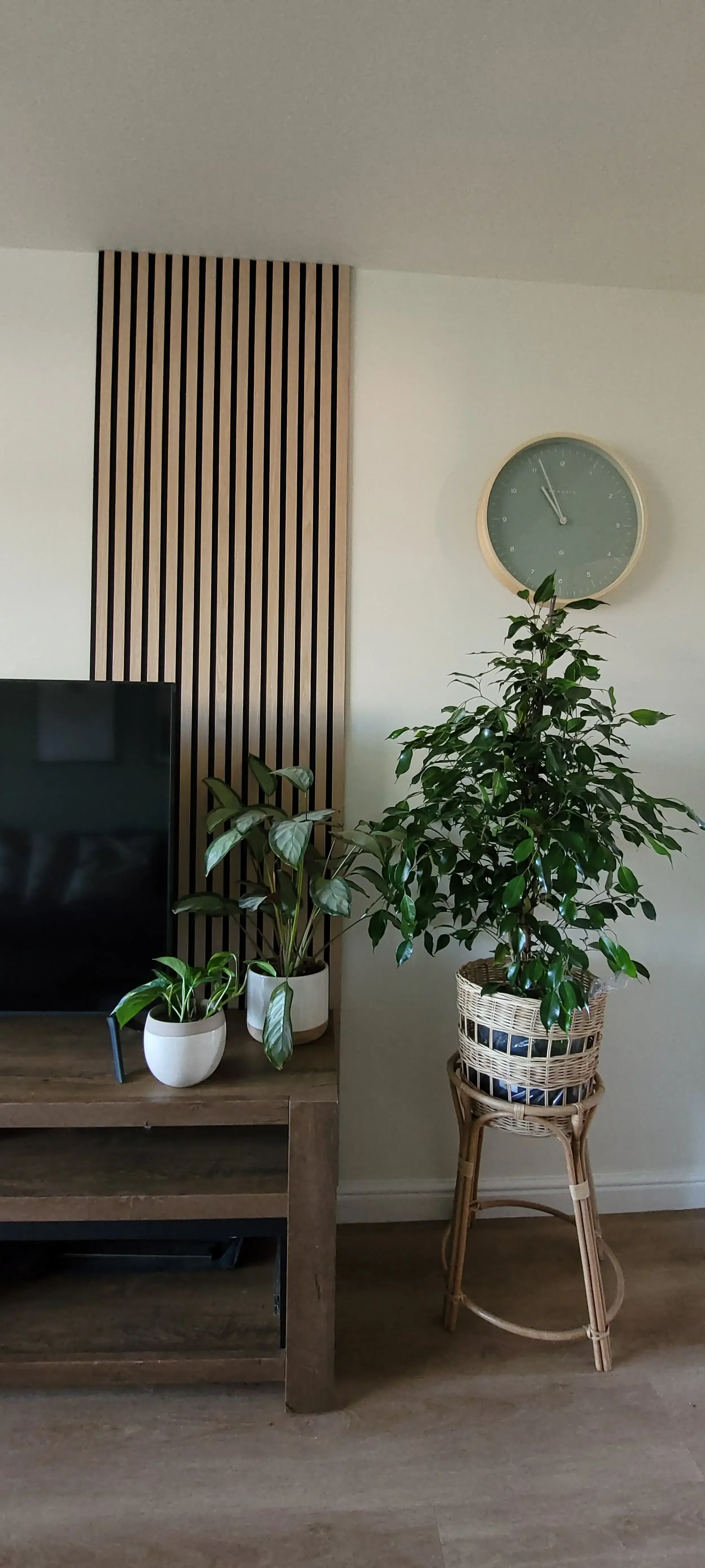 Living room corner with a large green potted plant on a wicker stand, a smaller potted plant on a wooden TV stand, a wall clock, and a striped wooden panel on a white wall.