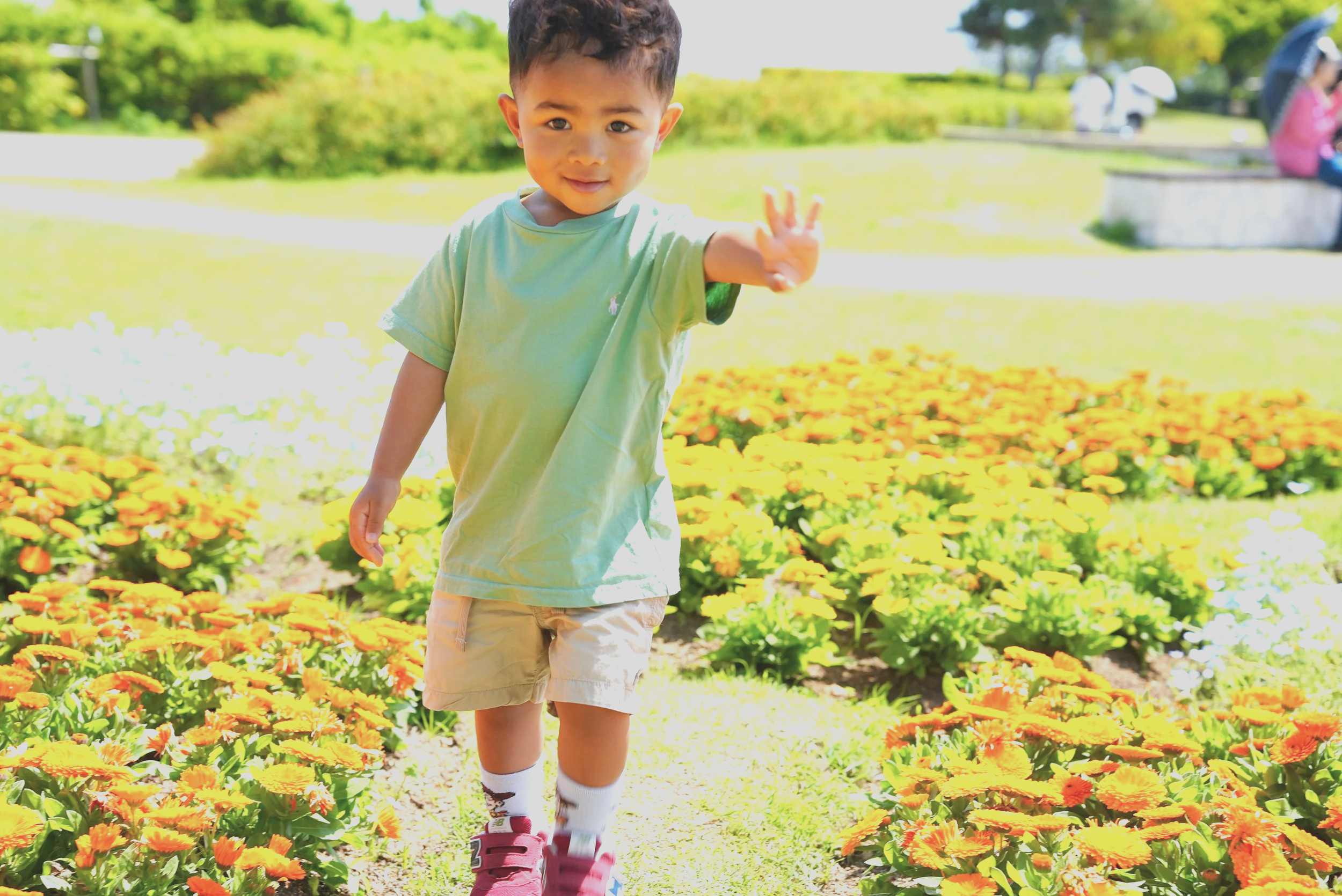 花壇の中を歩く少年