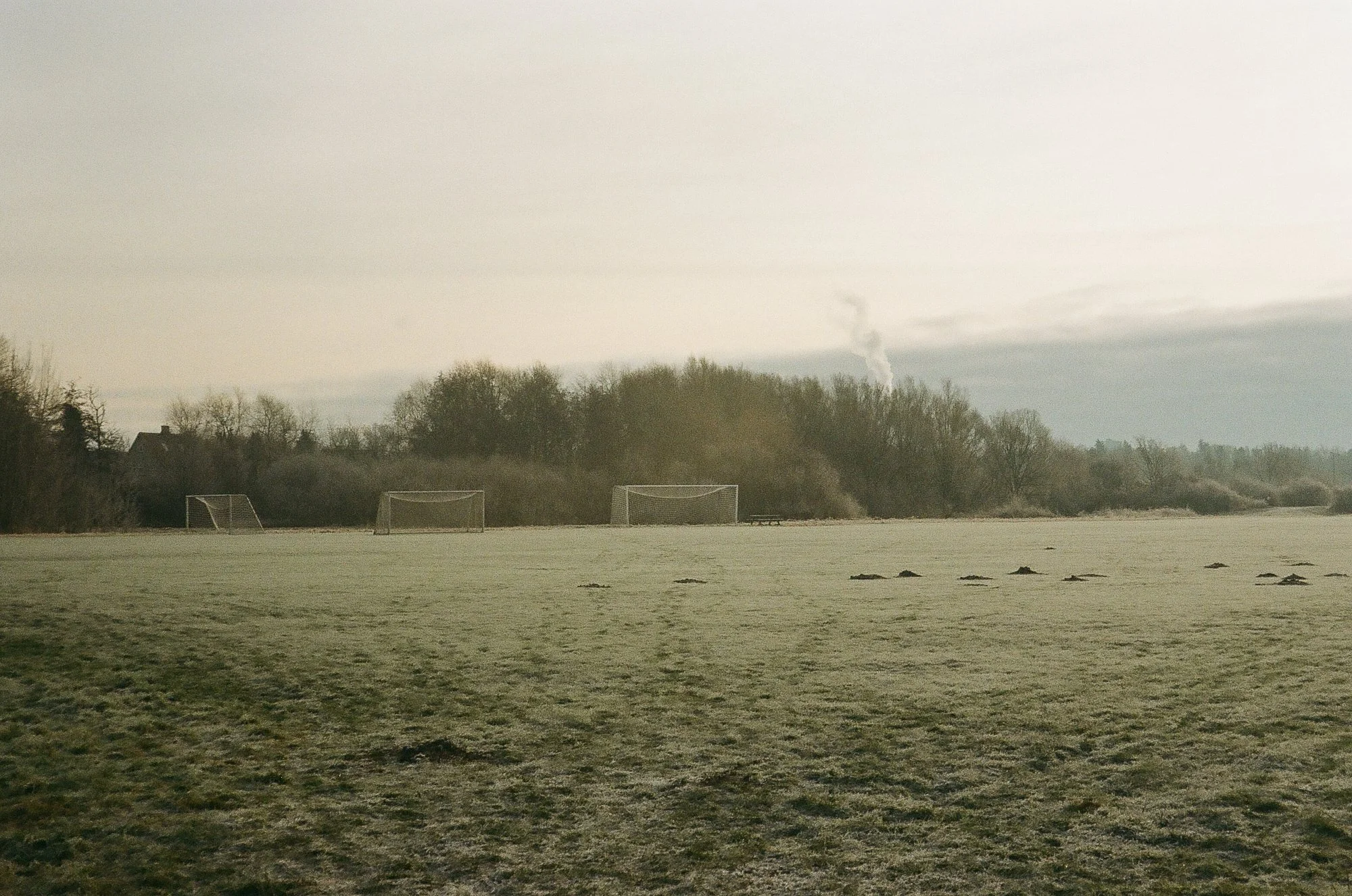 Utterslev Mose Copenhagen © Birgitte Brondsted-17.jpg