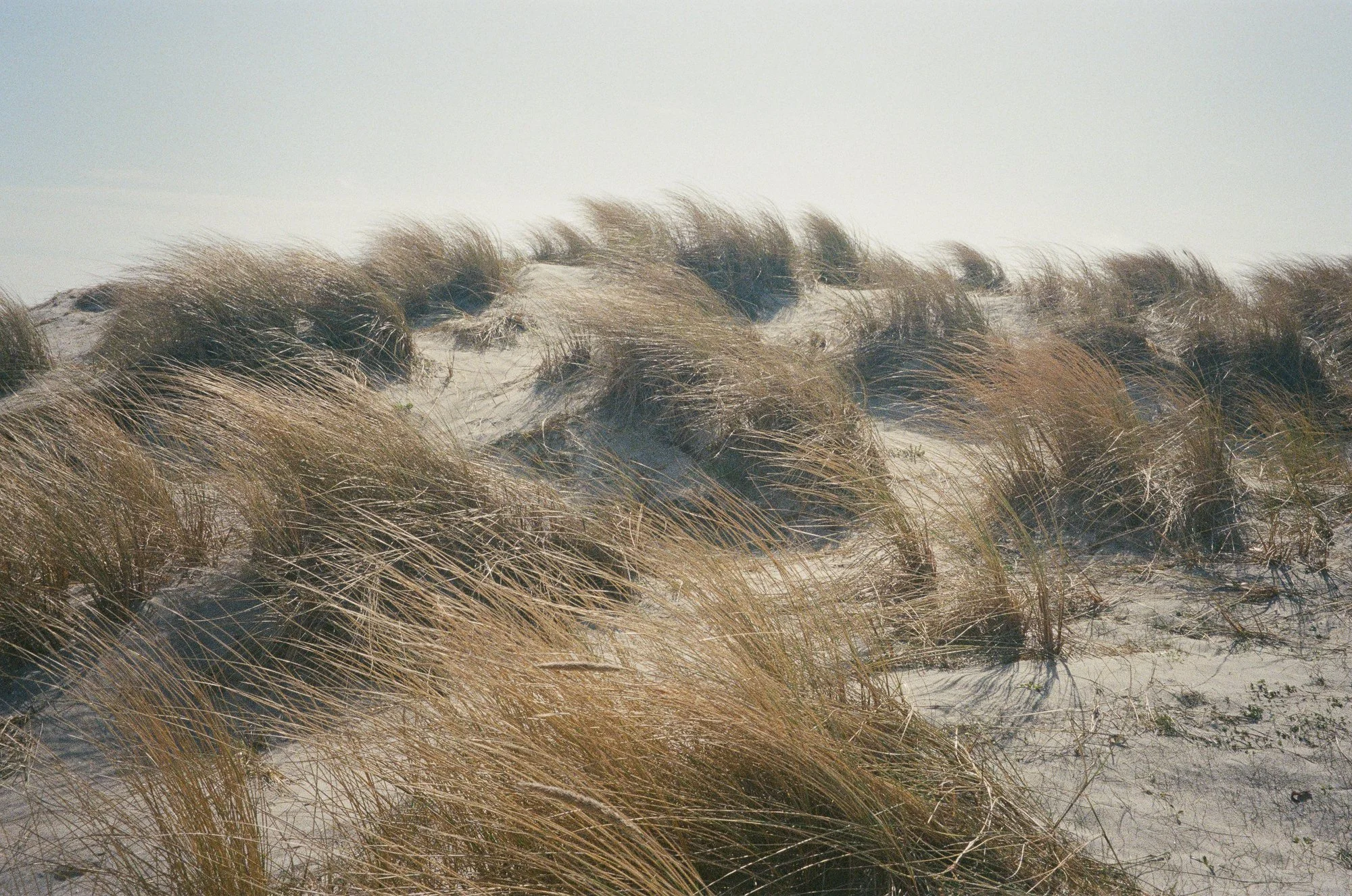Amager Strand Copenhagen © Birgitte Brondsted-12.jpg