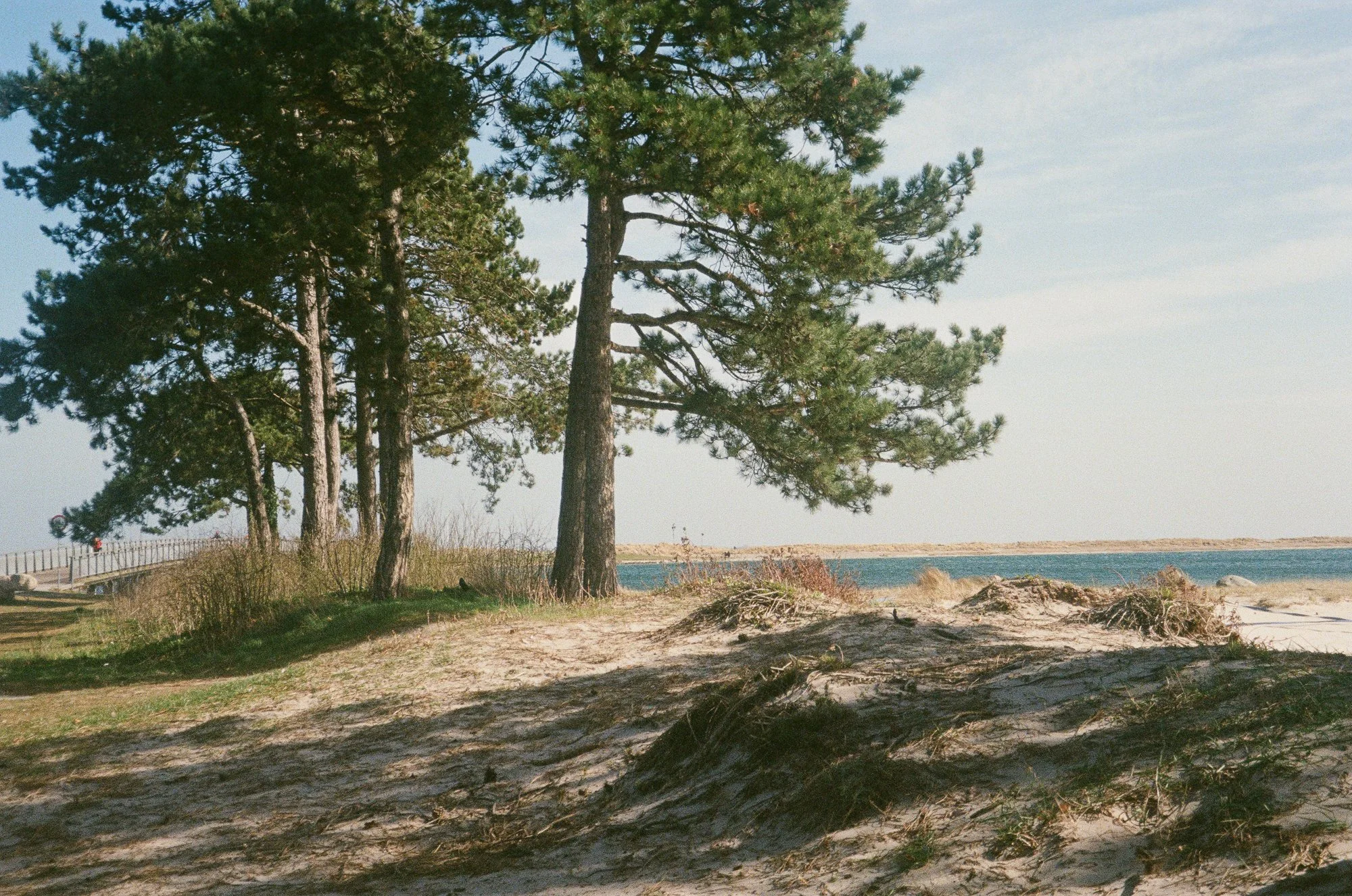 Amager Strand Copenhagen © Birgitte Brondsted-1.jpg