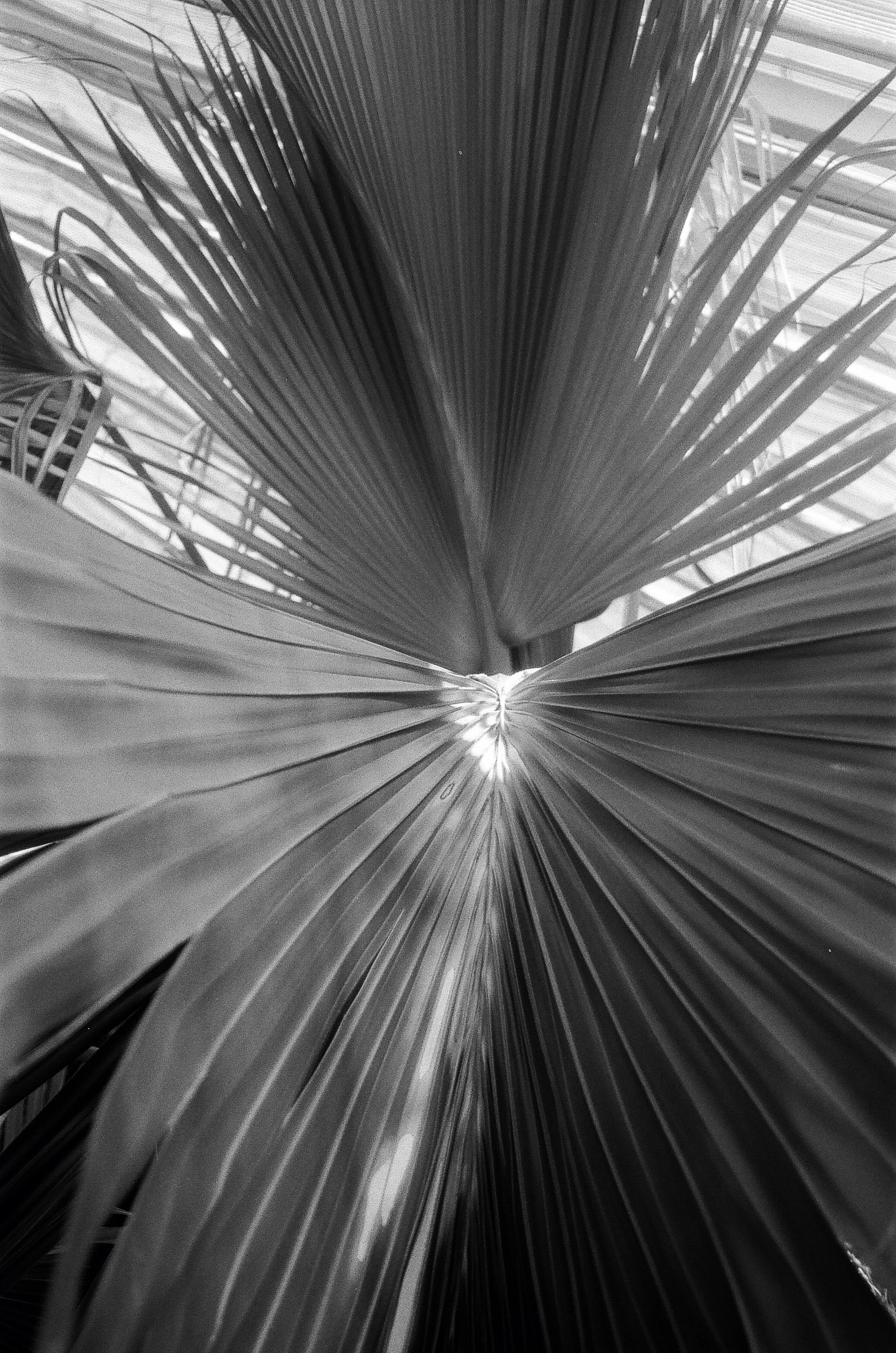 Botanisk Have Copenhagen © Birgitte Brondsted-18.jpg