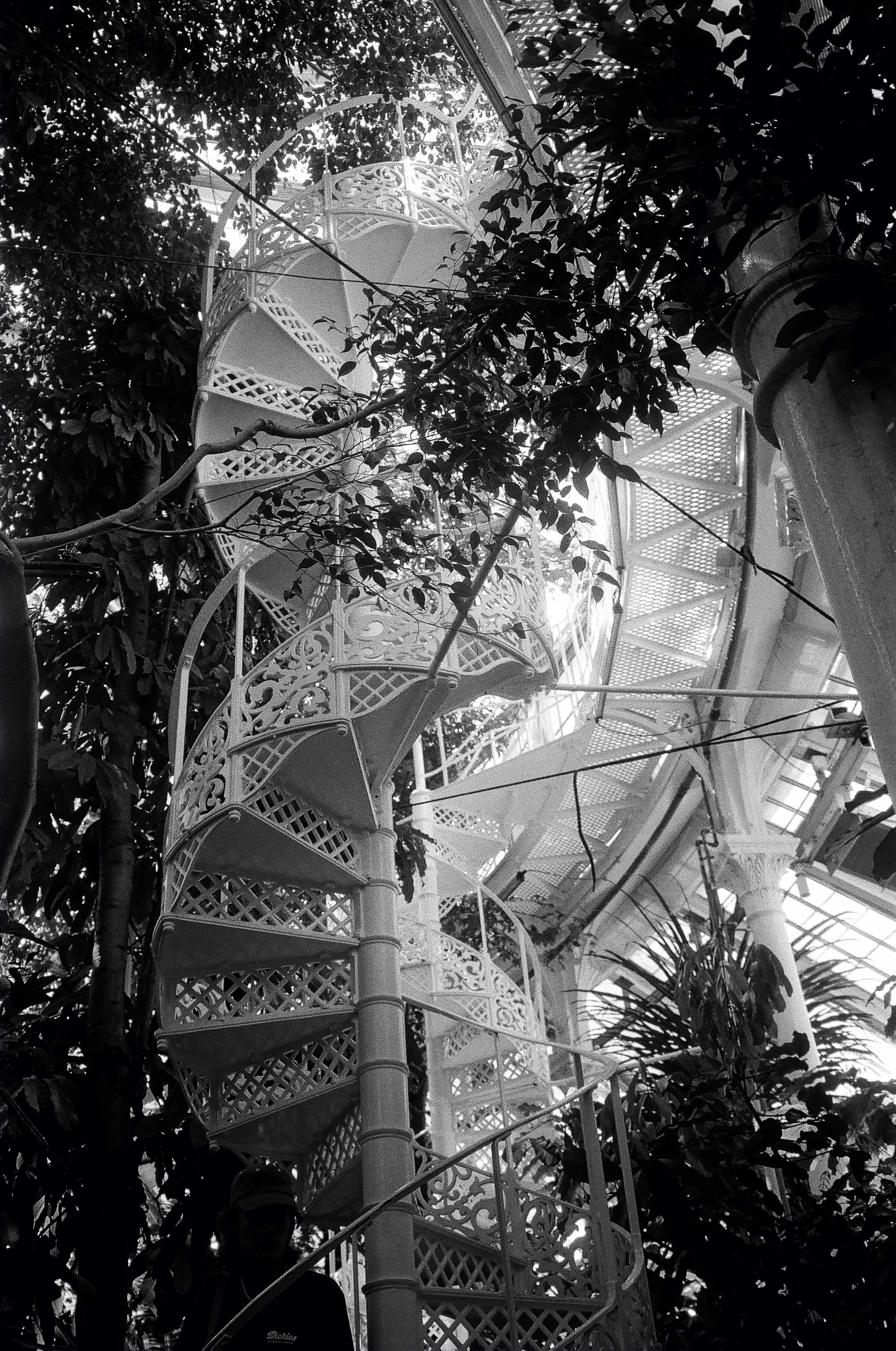 Botanisk Have Copenhagen © Birgitte Brondsted-13.jpg