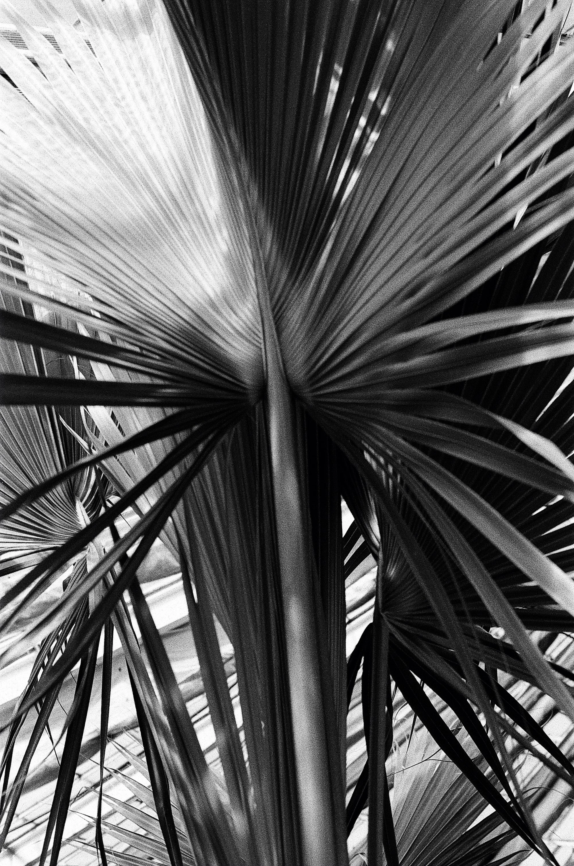 Botanisk Have Copenhagen © Birgitte Brondsted-2.jpg