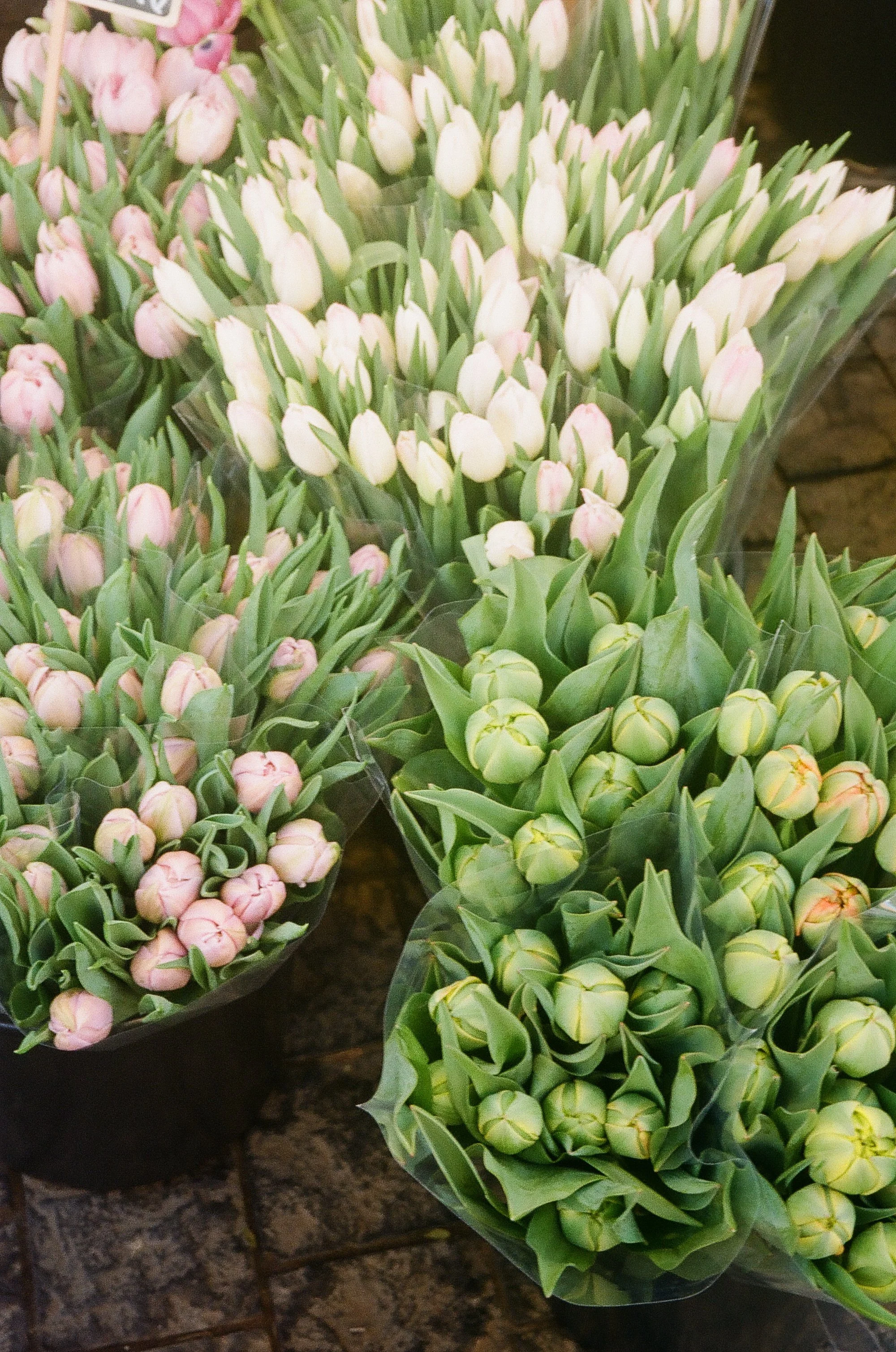 At the market © Birgitte Brondsted-6.jpg