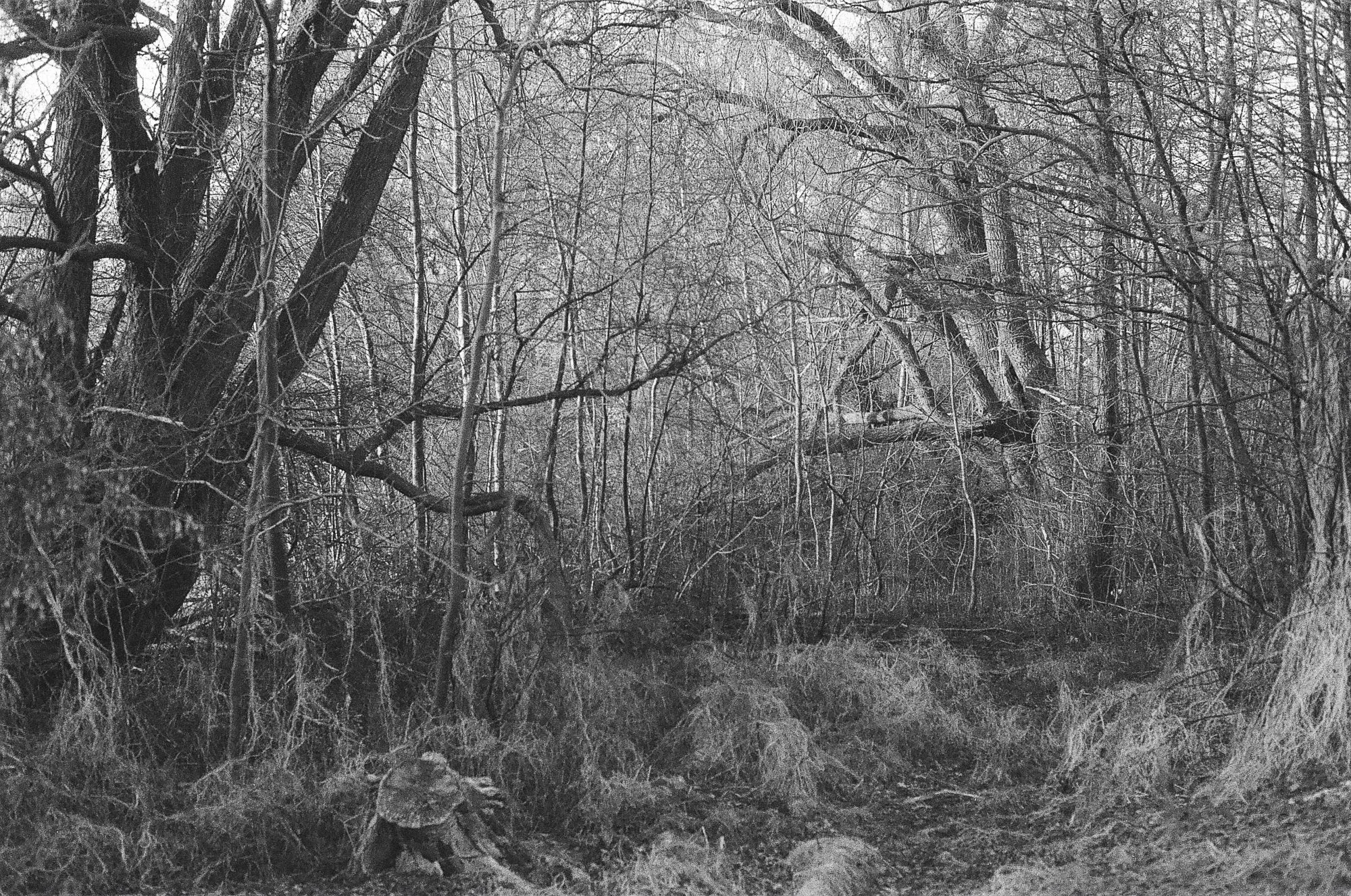 Utterslev Mose Copenhagen © Birgitte Brondsted-10.jpg