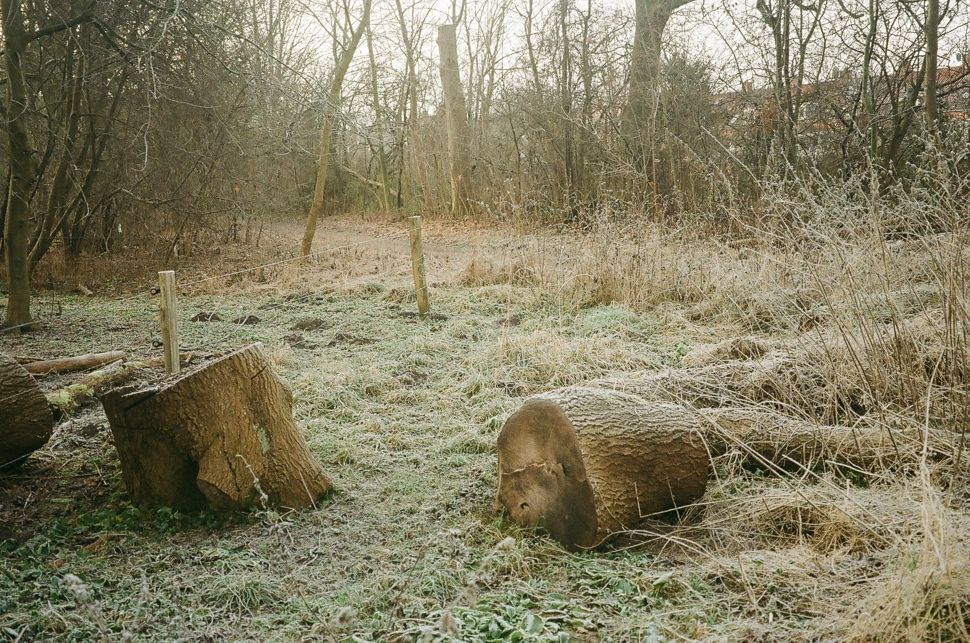 Utterslev Mose Copenhagen © Birgitte Brondsted-15.jpg