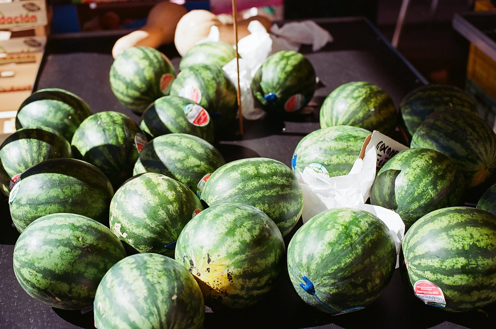 Journal © Birgitte Brondsted-1.jpg