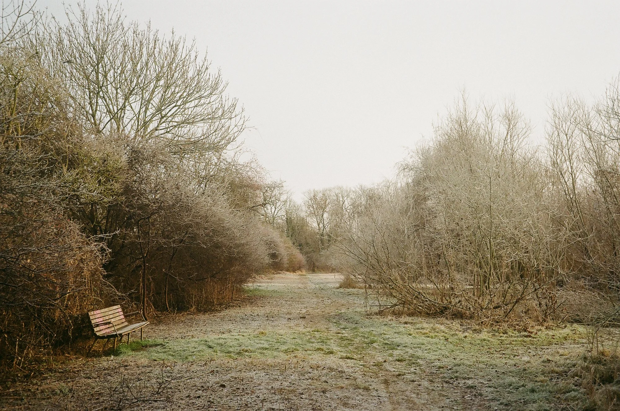 Utterslev Mose Copenhagen © Birgitte Brondsted-19.jpg